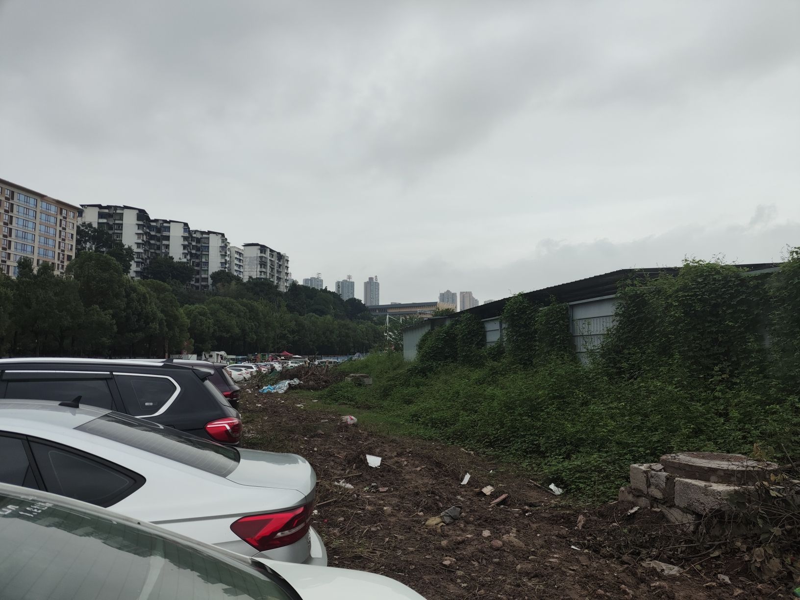 重庆巴滨城市公园旅行图片 2