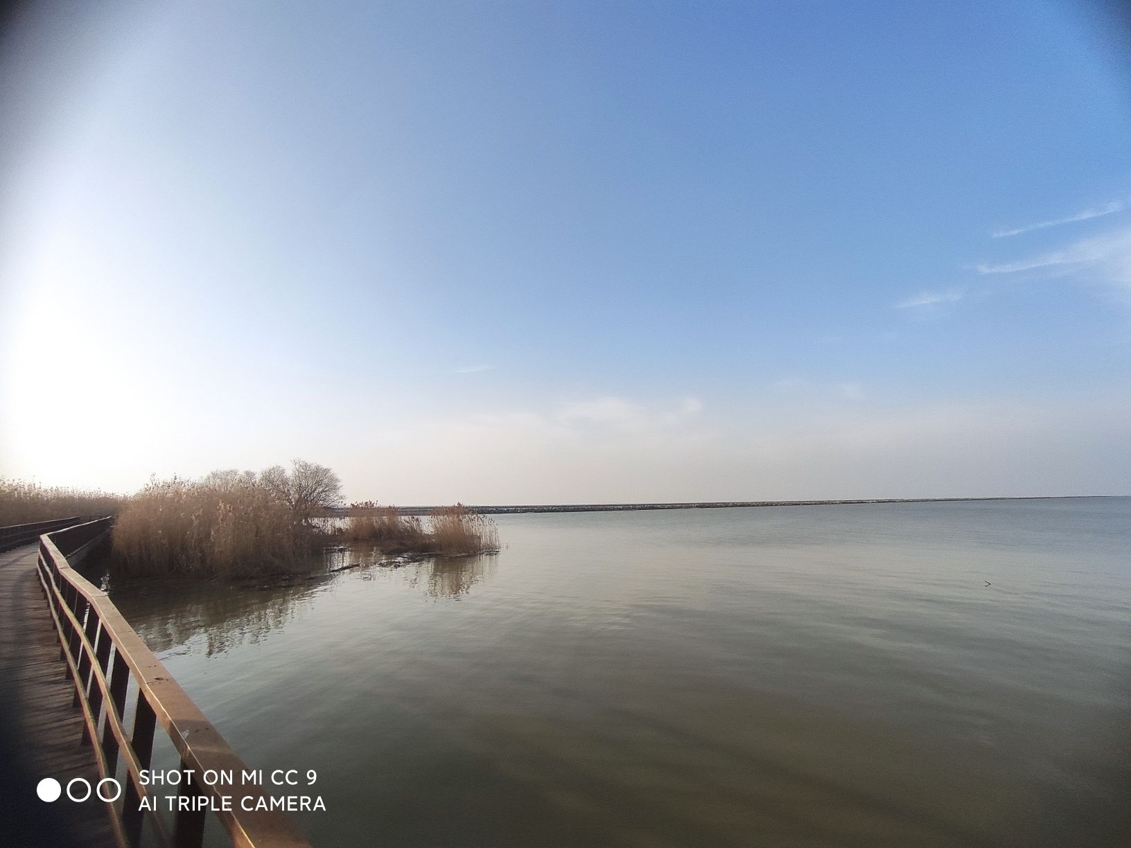 马尾河湿地公园旅行图片 3