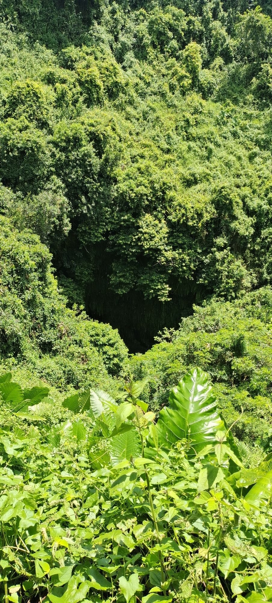 羊山美孝火山文化旅游区旅行图片 2