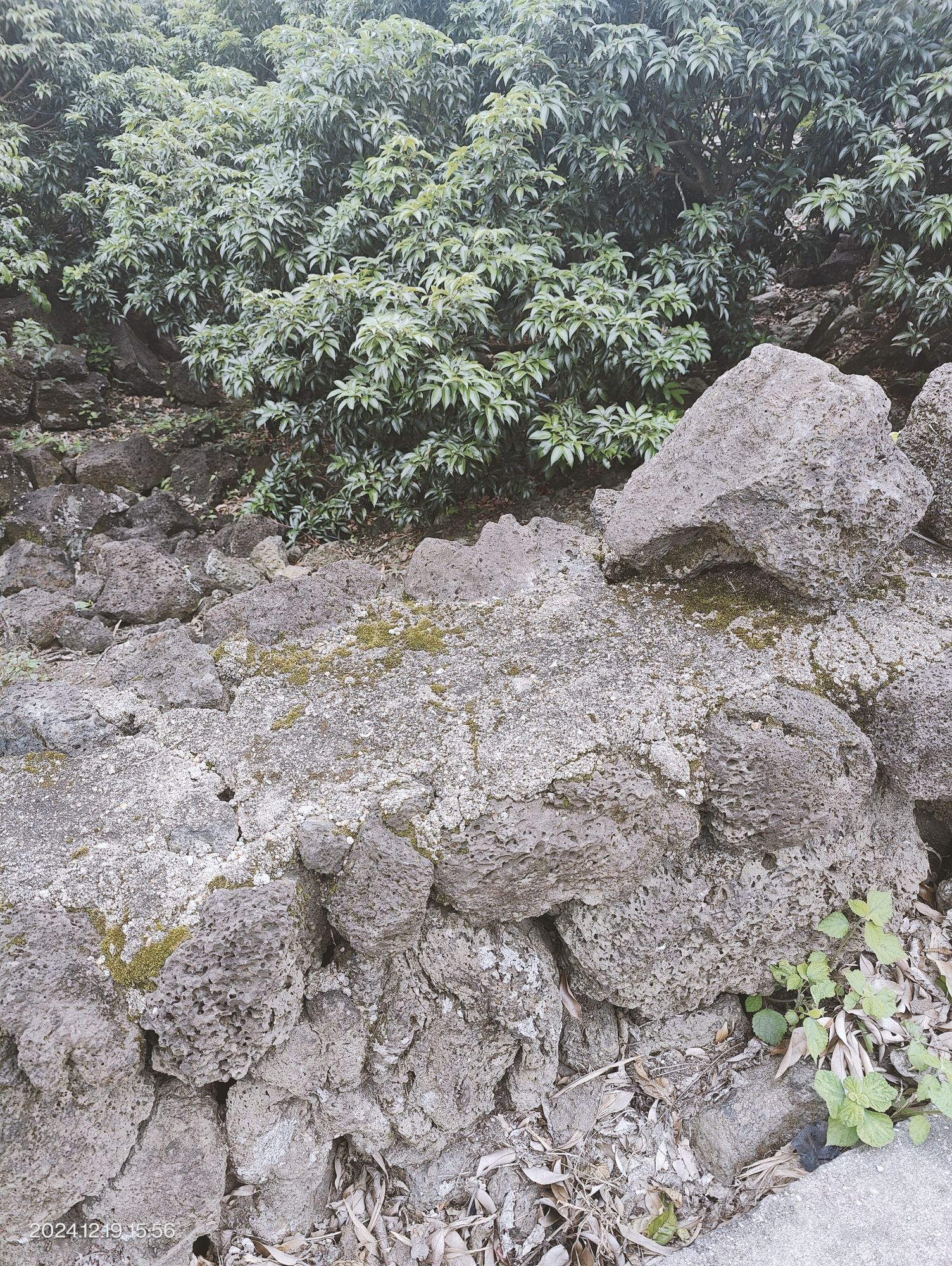 羊山美孝火山文化旅游区旅行图片 2