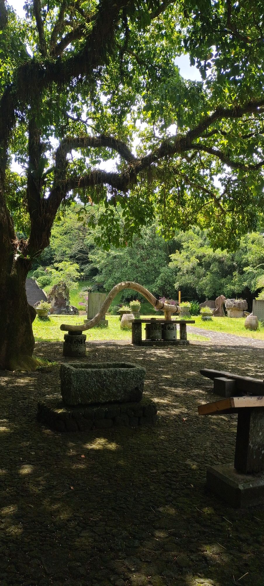羊山美孝火山文化旅游区旅行图片 3