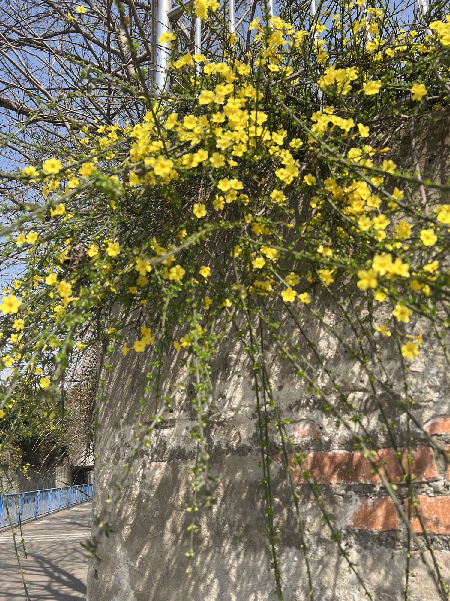 洞山公园旅行图片 3