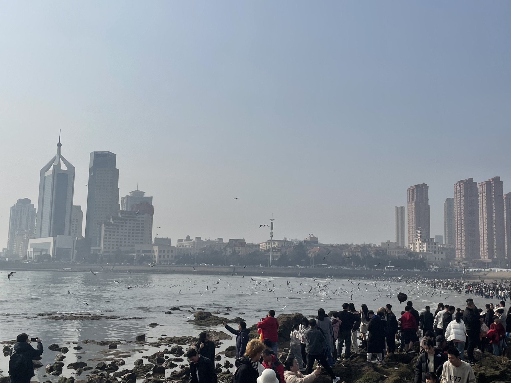 青岛湾景观区旅行图片