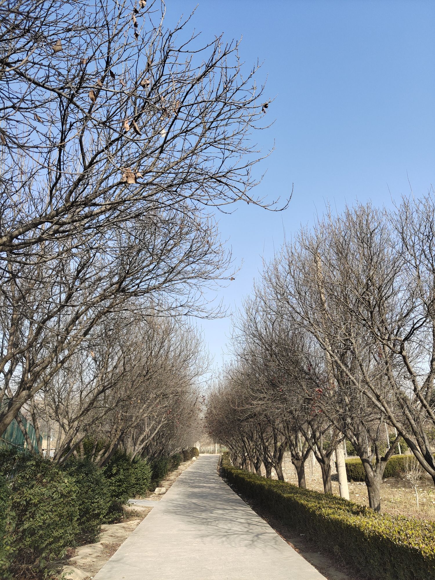 峨嵋公园