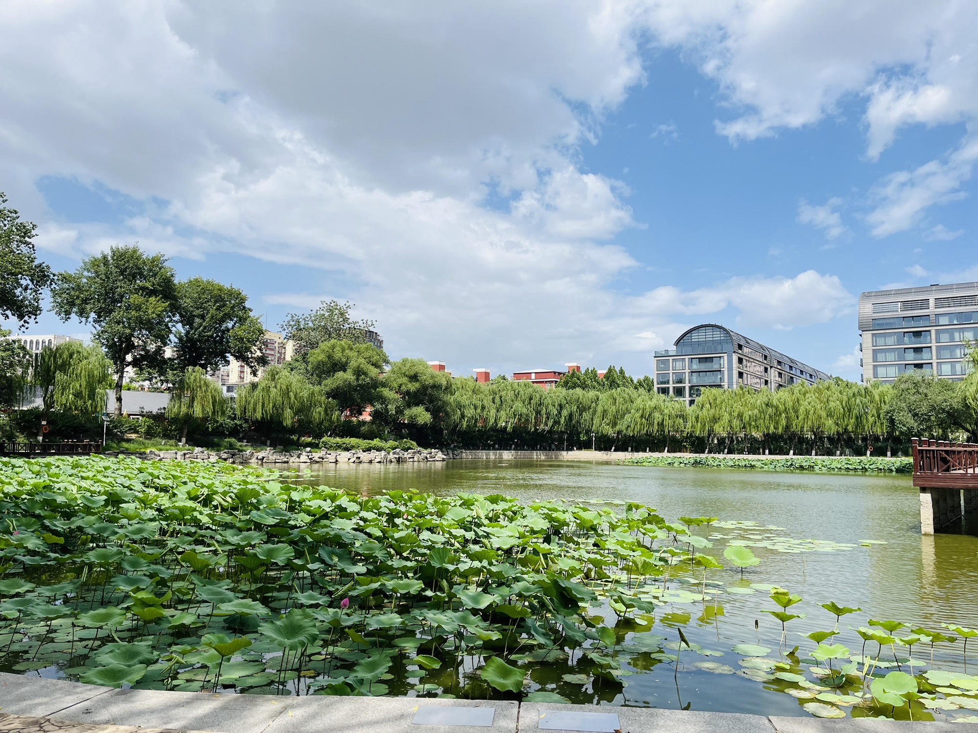 农展馆后湖旅行图片 2