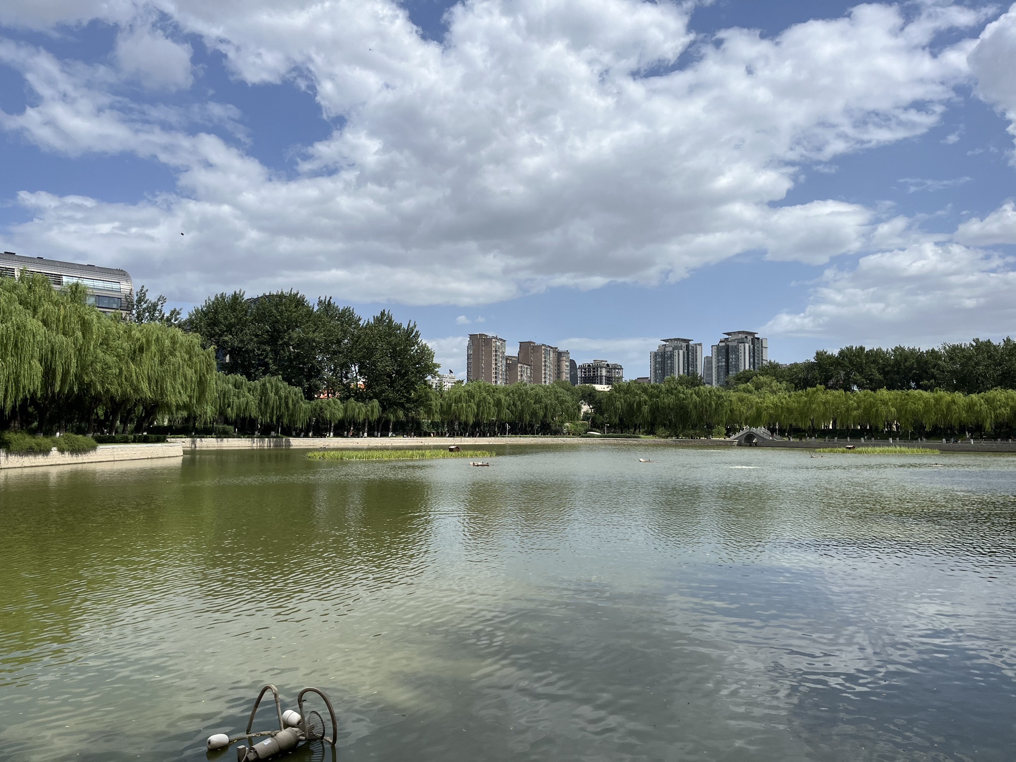 农展馆后湖旅行图片 3