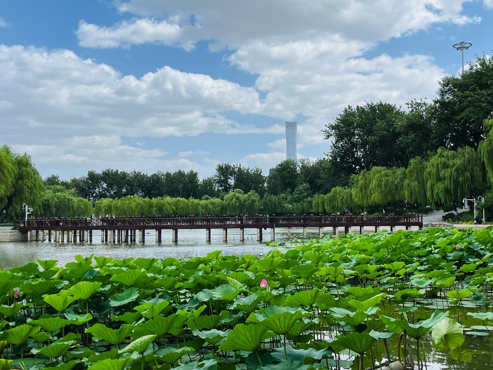 农展馆后湖旅行图片 1