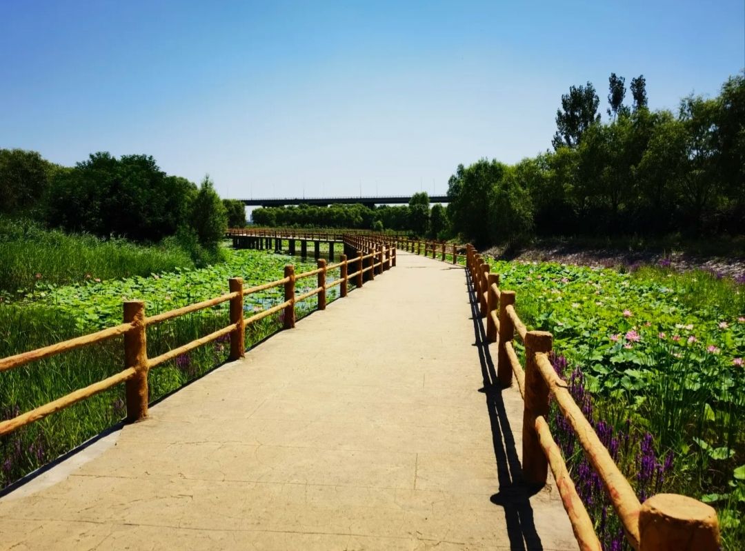 山西孝河湿地公园旅行图片 3