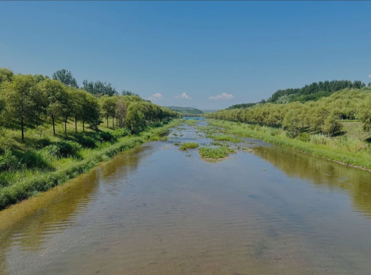 山西孝河湿地公园