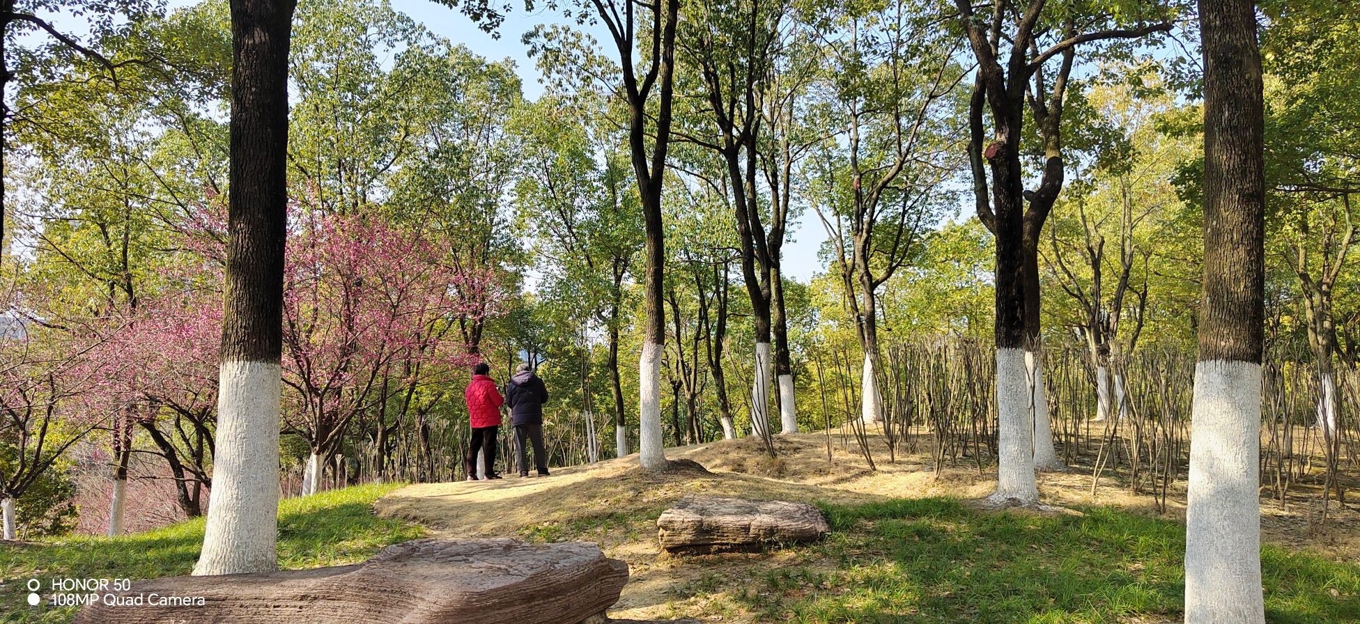 匡河公园旅行图片 2