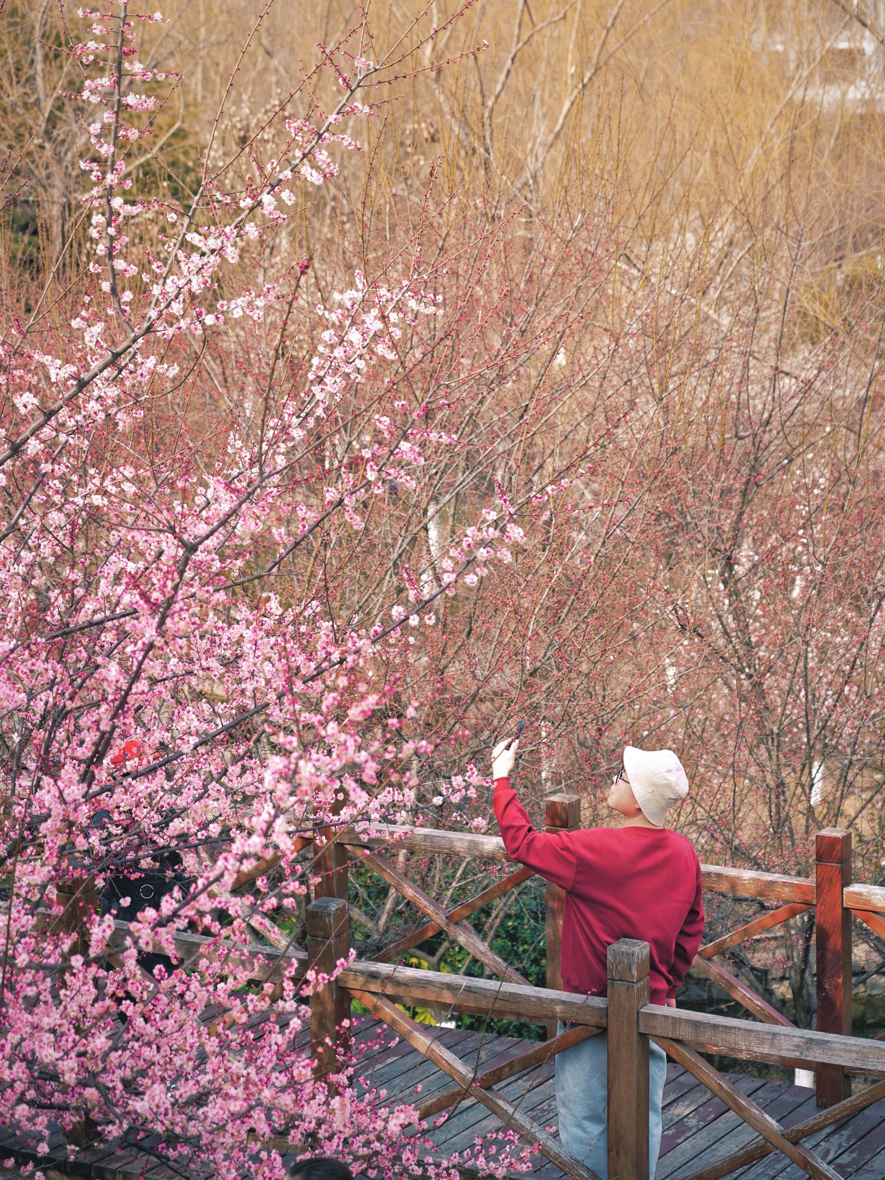 匡河公园旅行图片 1