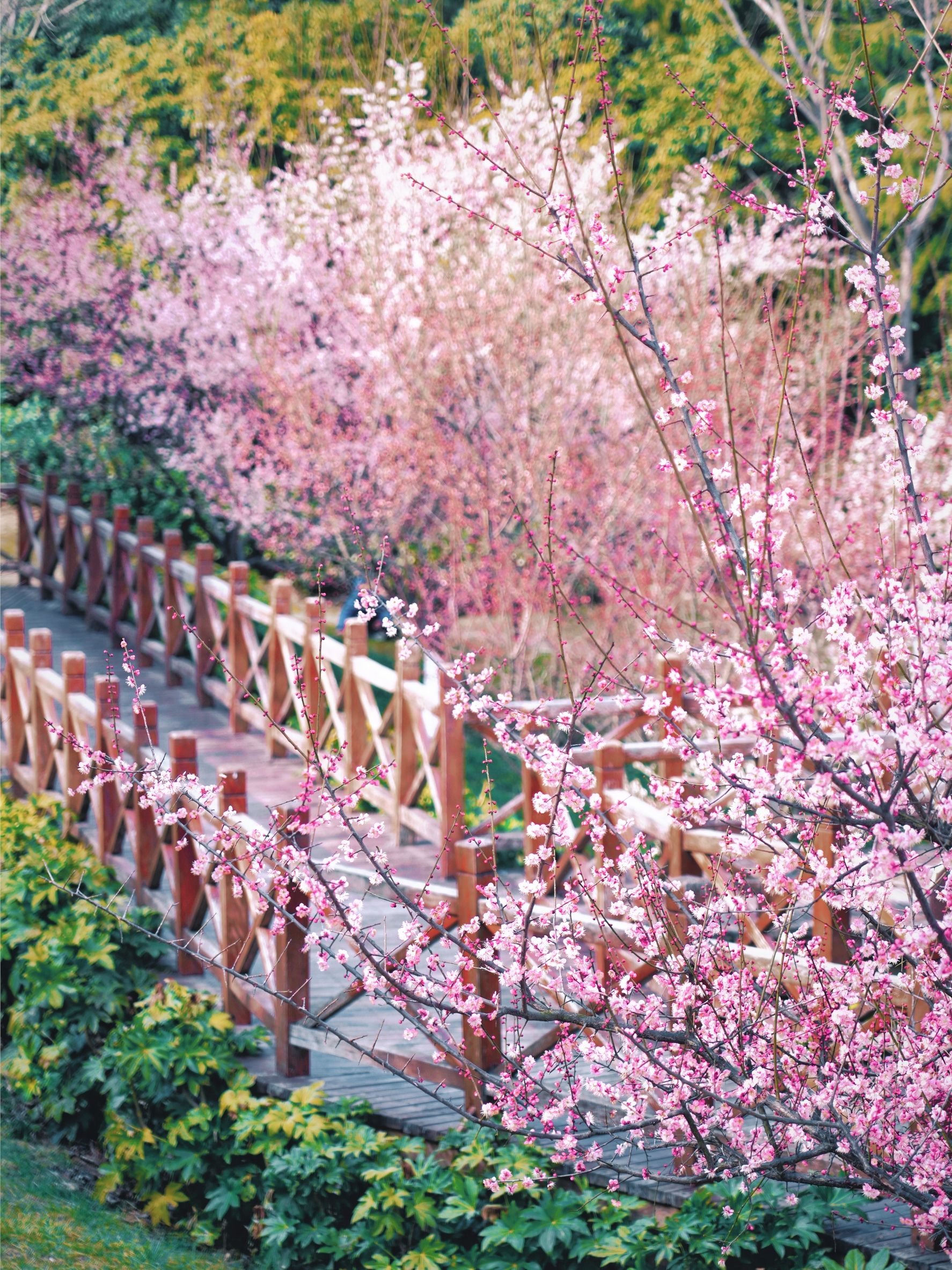 匡河公园旅行图片 2