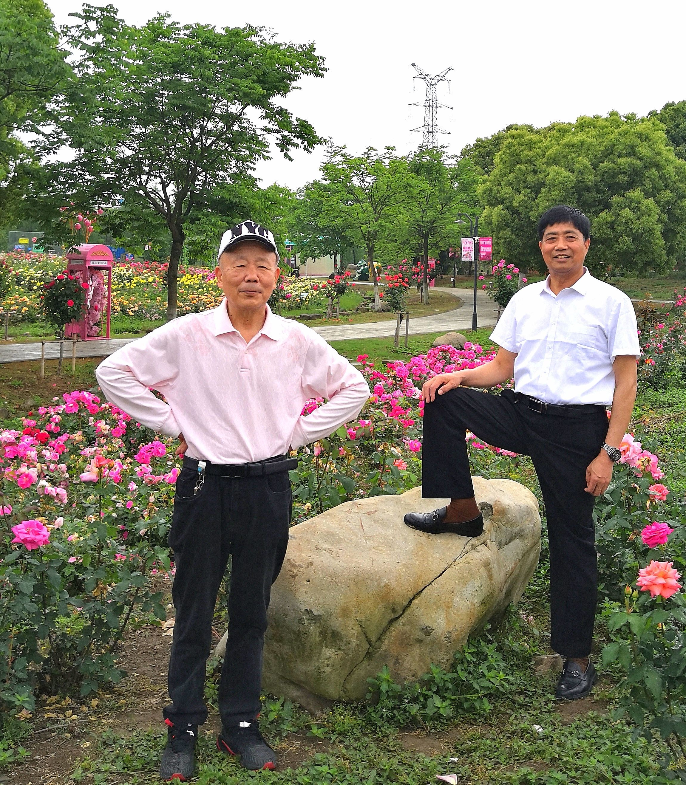抖起来达人谷·张桥月季公园旅行图片 2