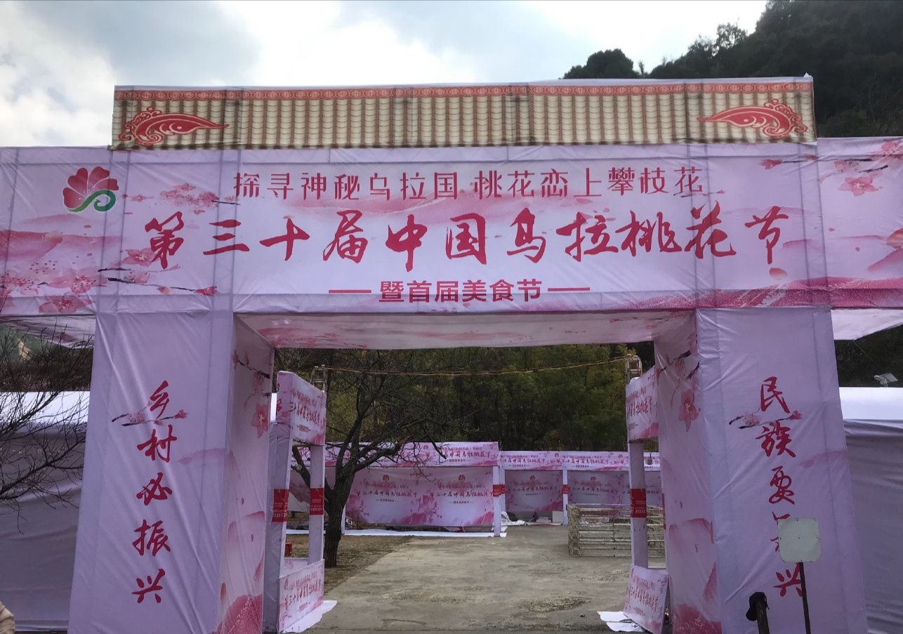 务本桃花景区旅行图片 1