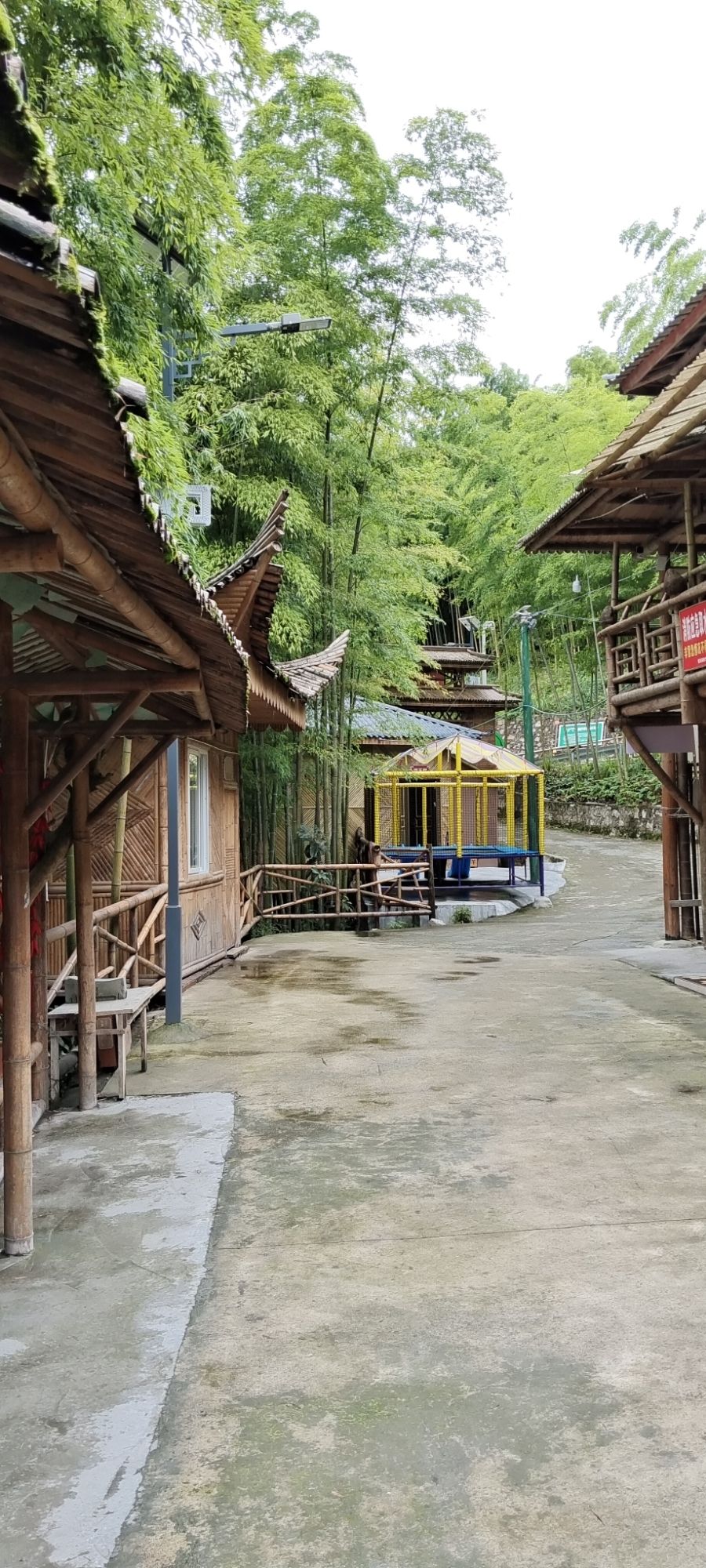 羌王竹海旅行图片 2