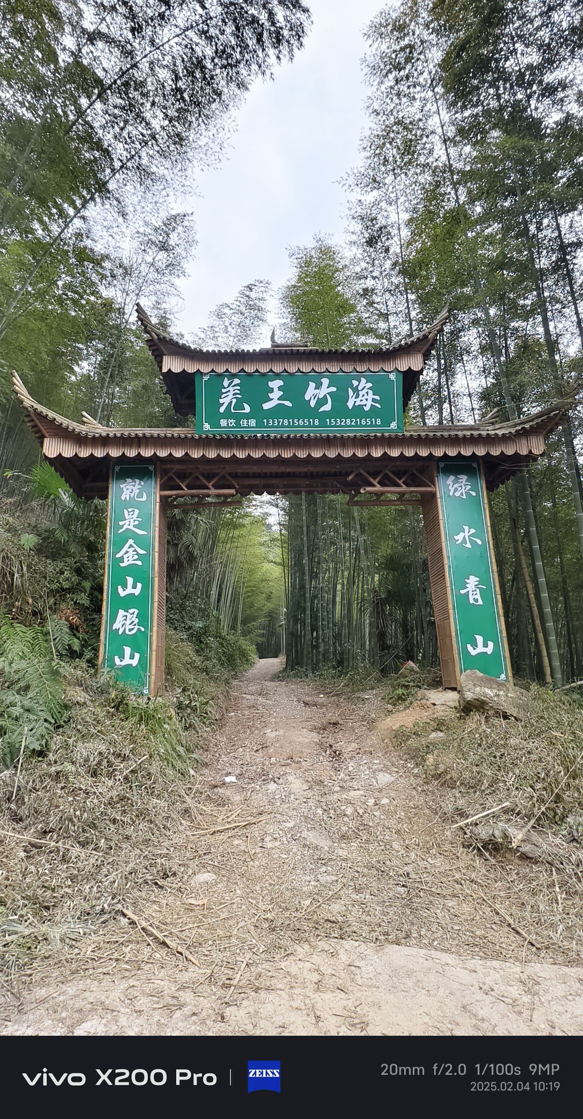 羌王竹海旅行图片 1