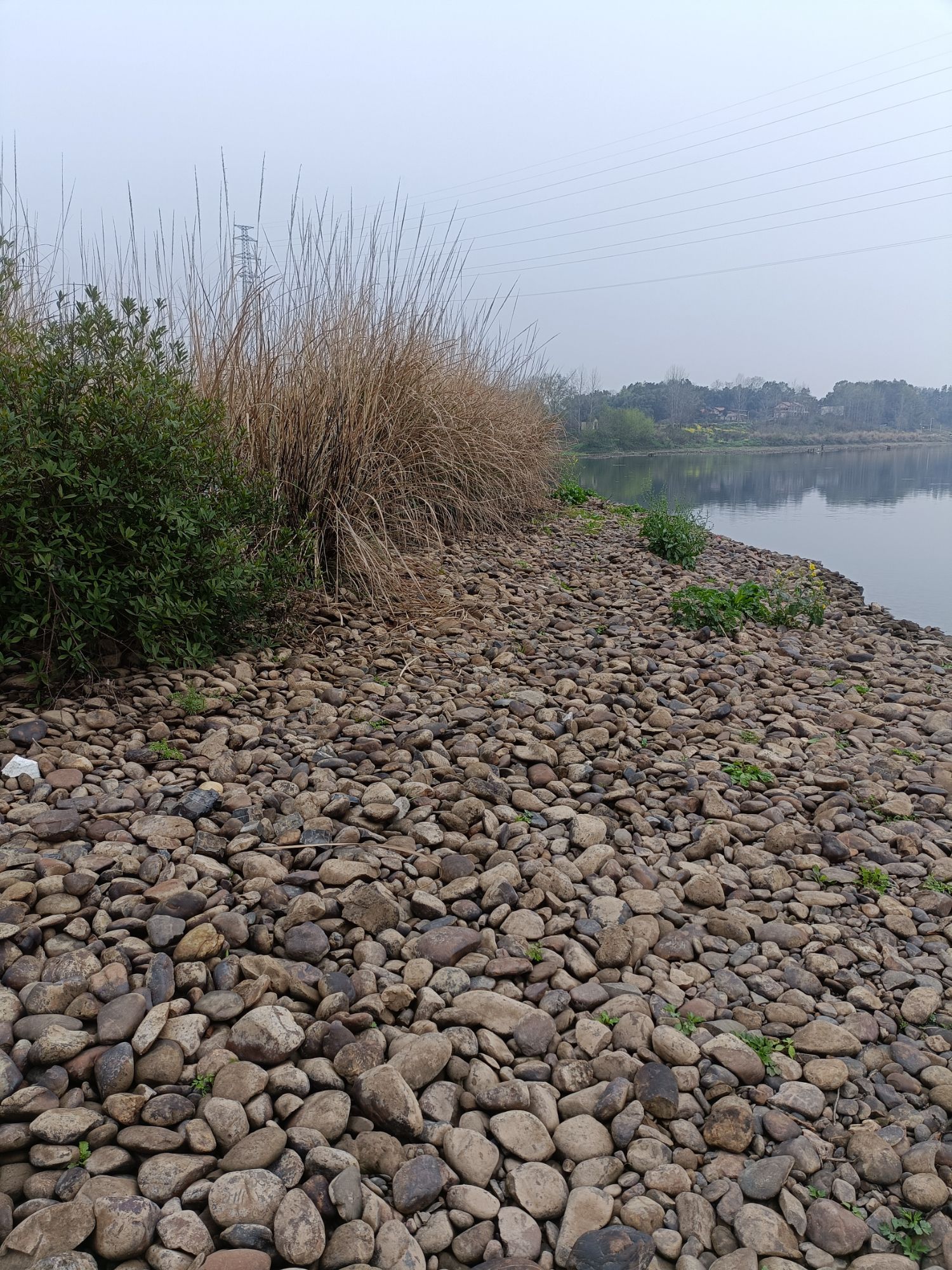 九公桥桃花岛旅行图片 2