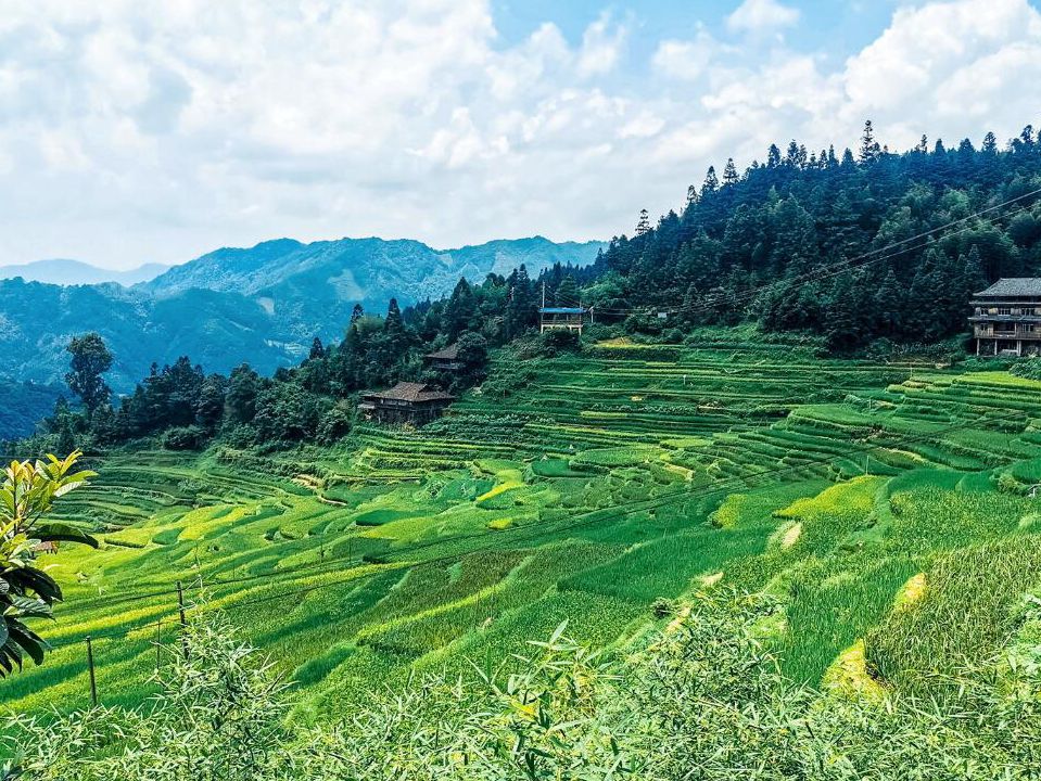 元宝山国家森林公园旅行图片 2