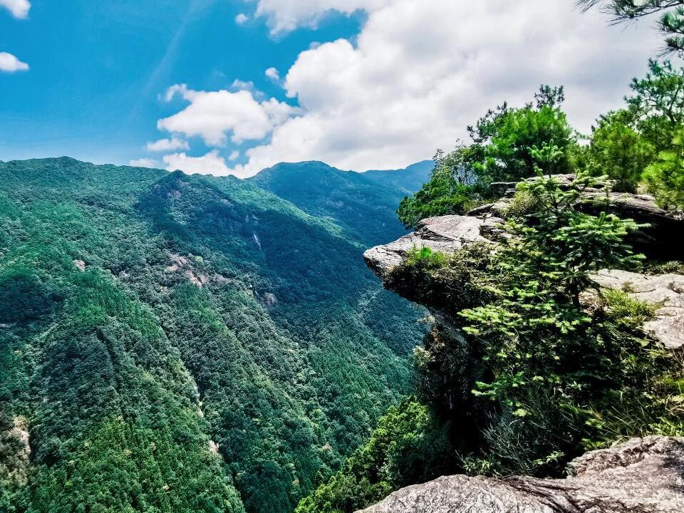 元宝山国家森林公园旅行图片 3