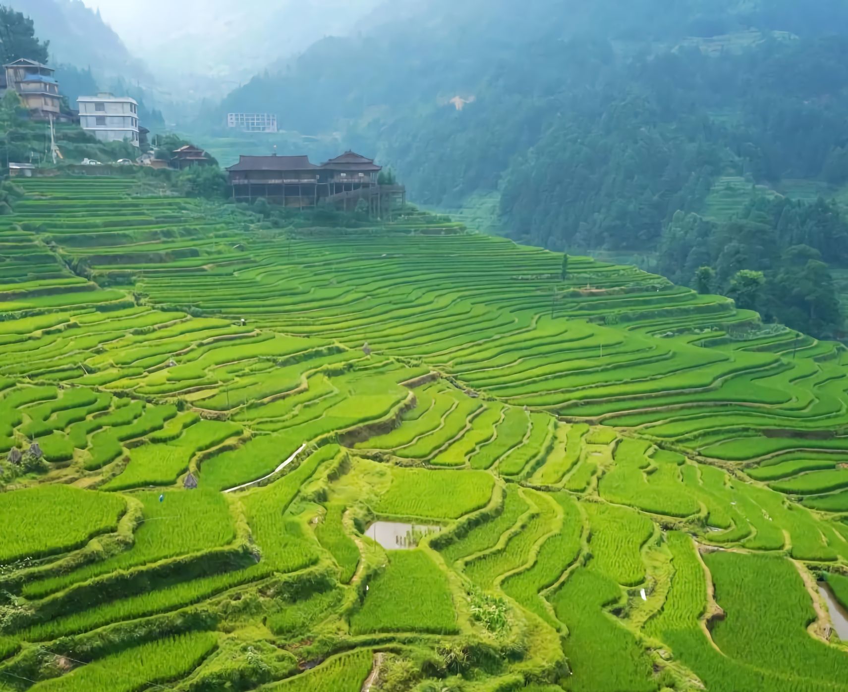 元宝山国家森林公园旅行图片 3