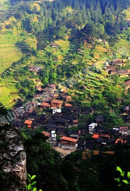元宝山国家森林公园旅行图片 3