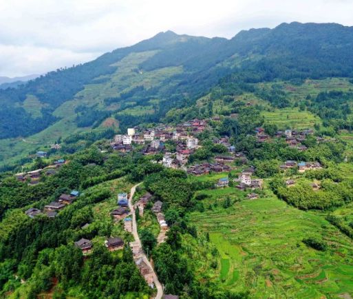 元宝山国家森林公园旅行图片 2