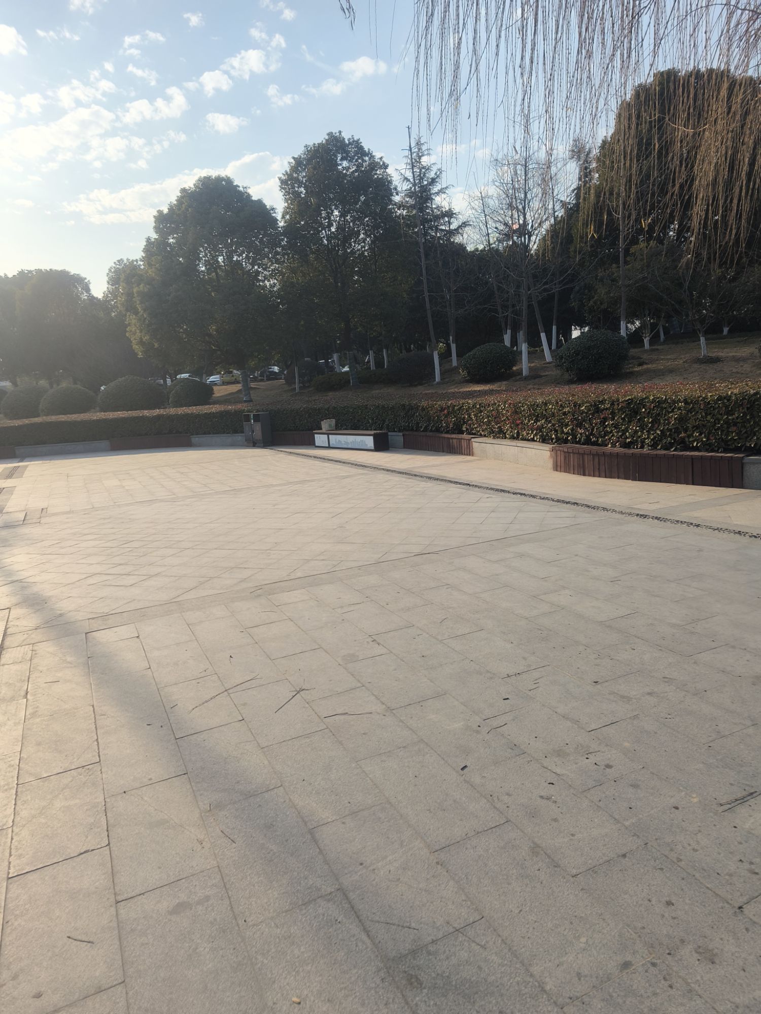 人民公园旅行图片 3