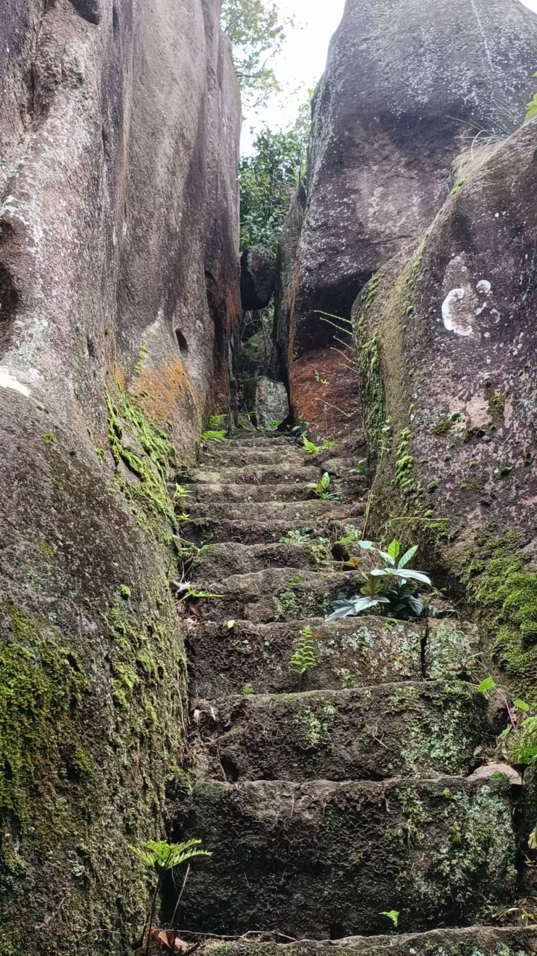 古洞岩风景区旅行图片 2