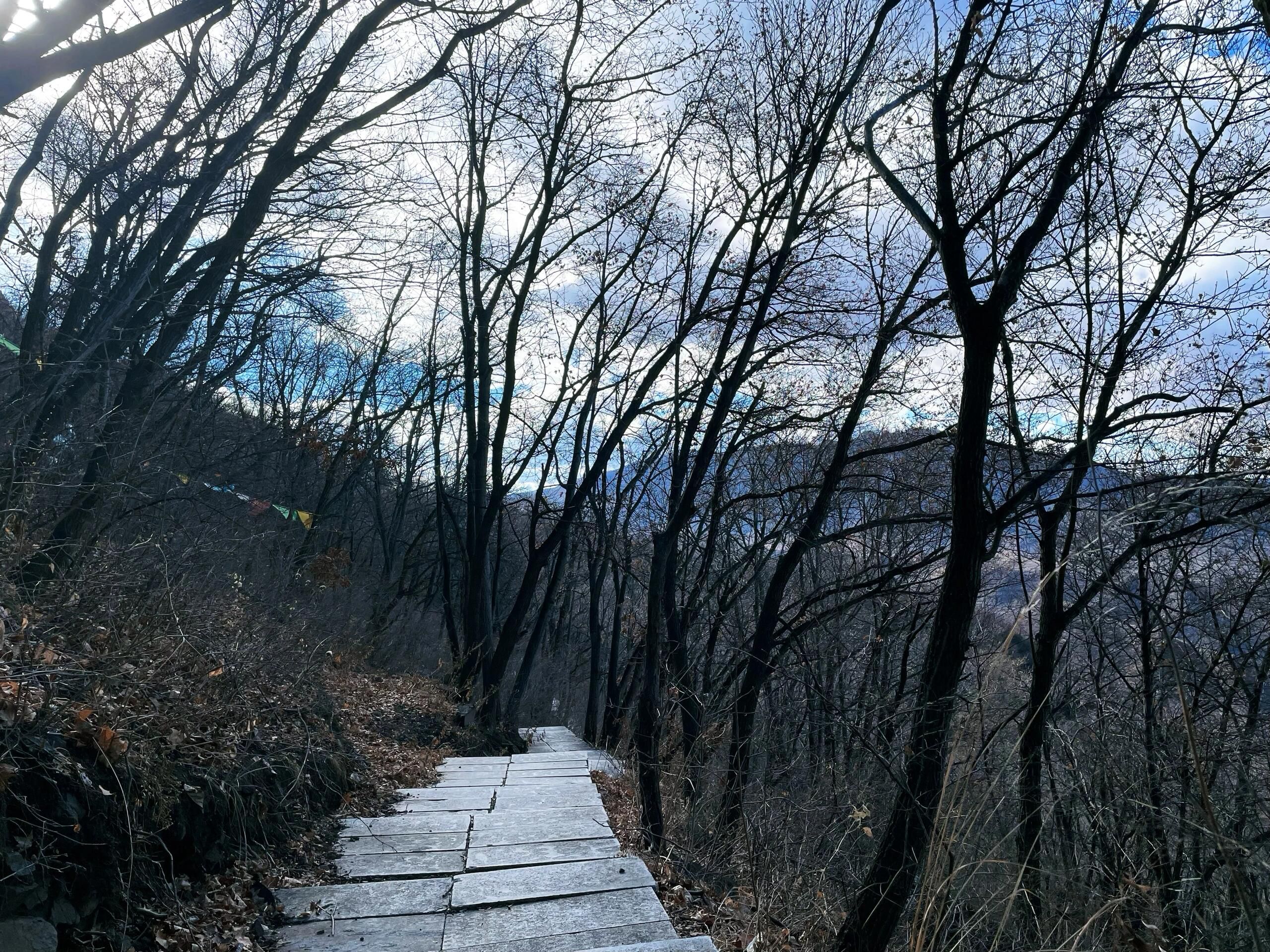 神仙沟风景区旅行图片 2