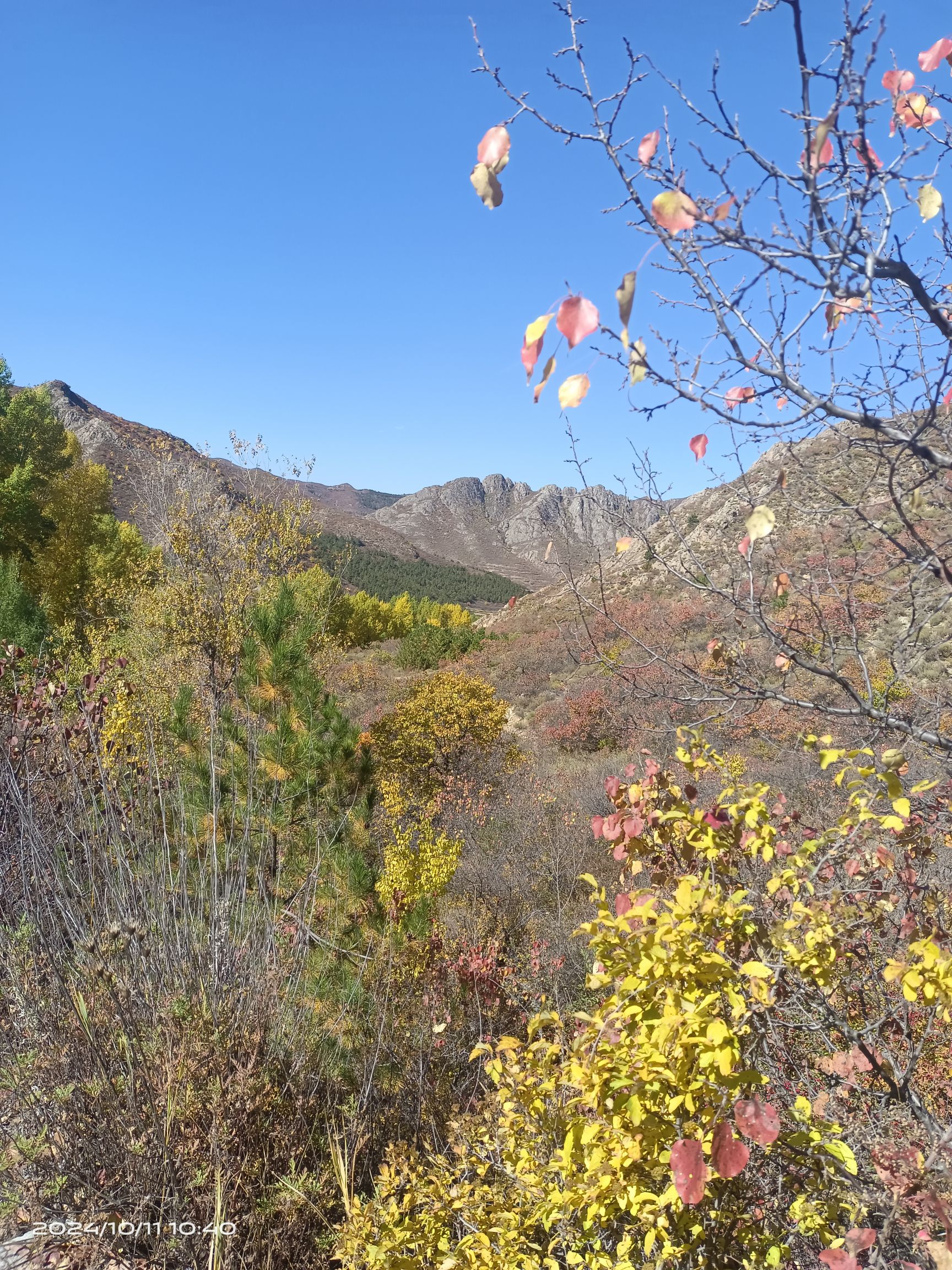 神仙沟风景区旅行图片 2