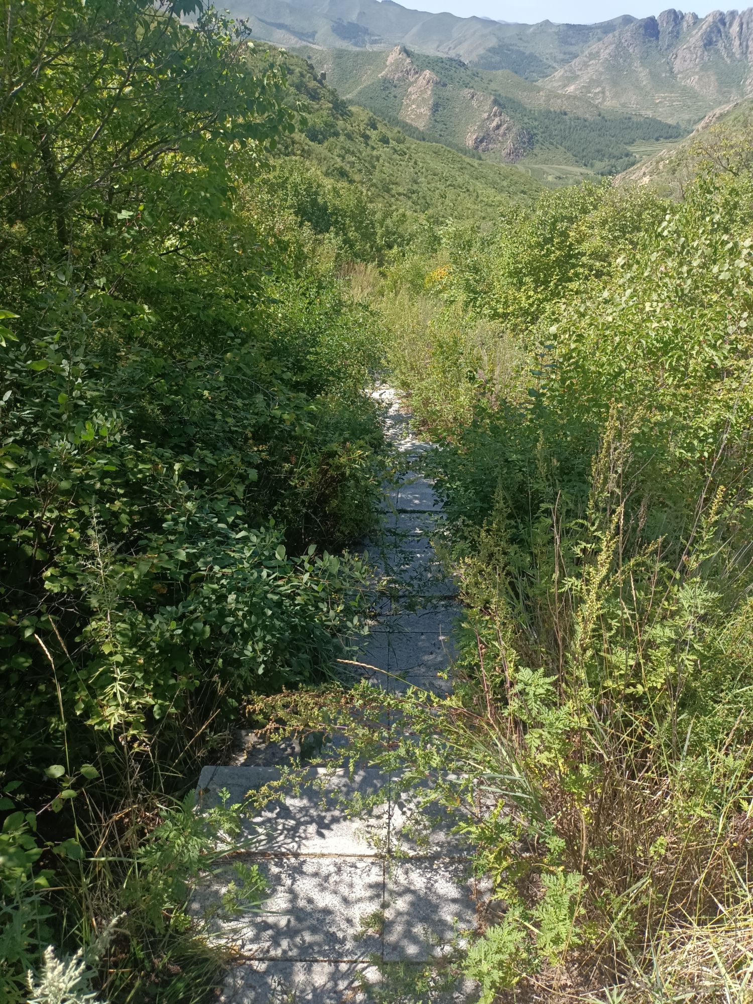 神仙沟风景区旅行图片 3