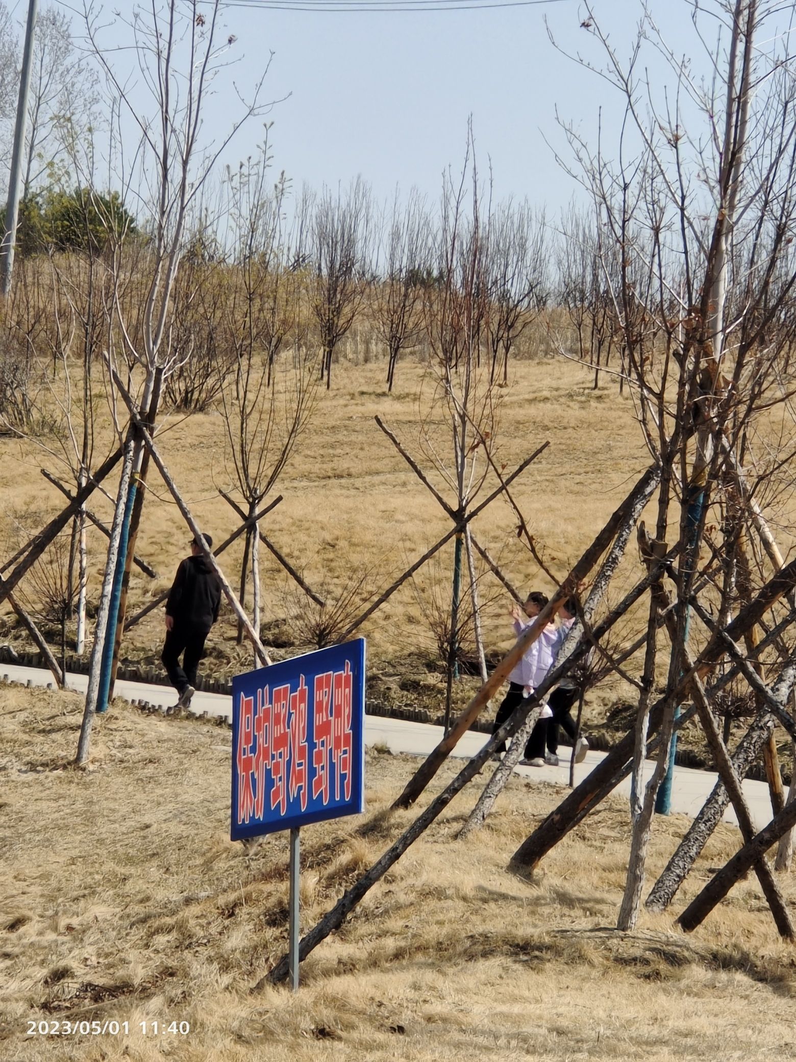北山公园旅行图片 2