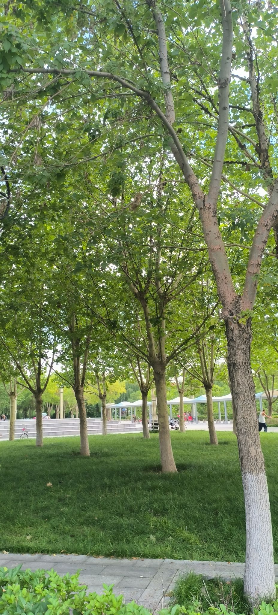 唐山市体育中心健身公园