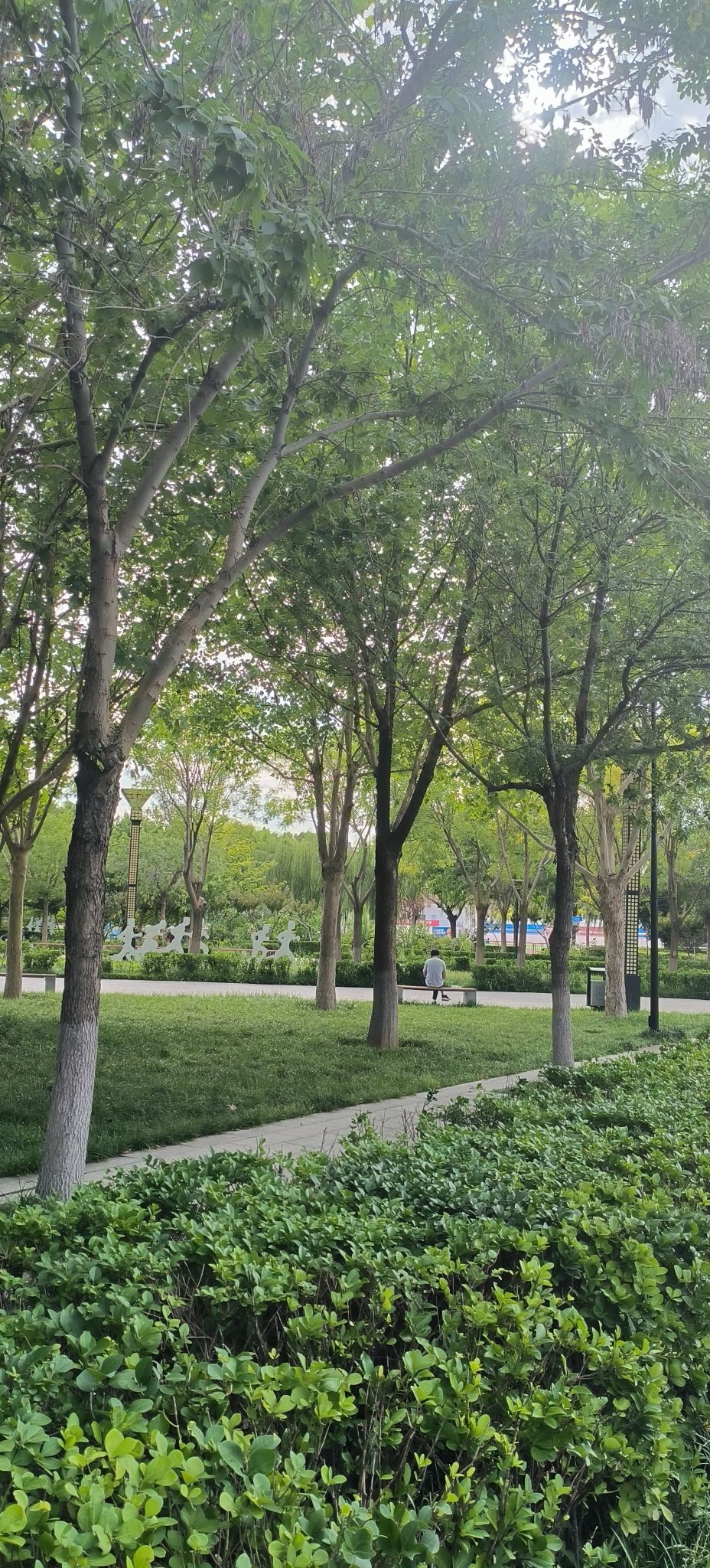 唐山市体育中心健身公园旅行图片 2