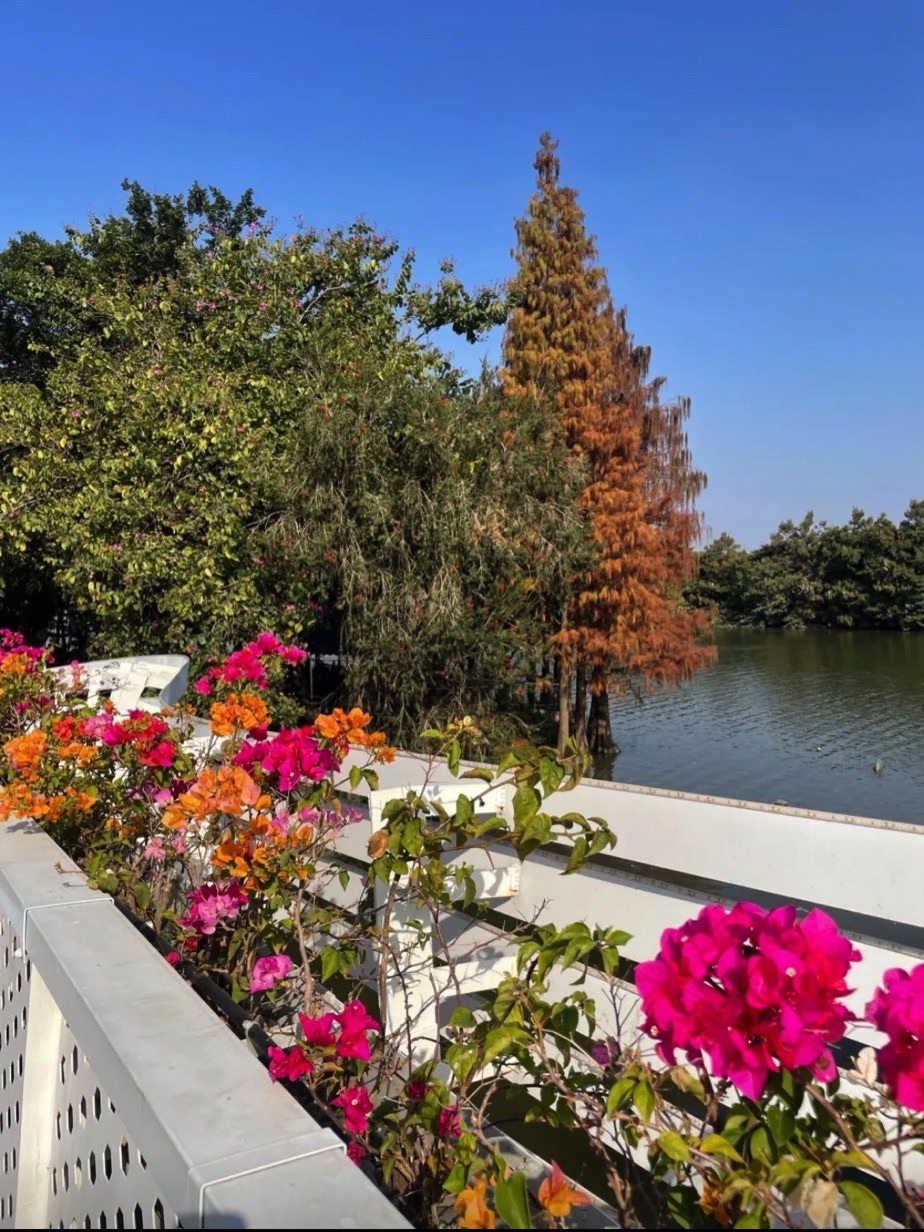 极限公园旅行图片 1