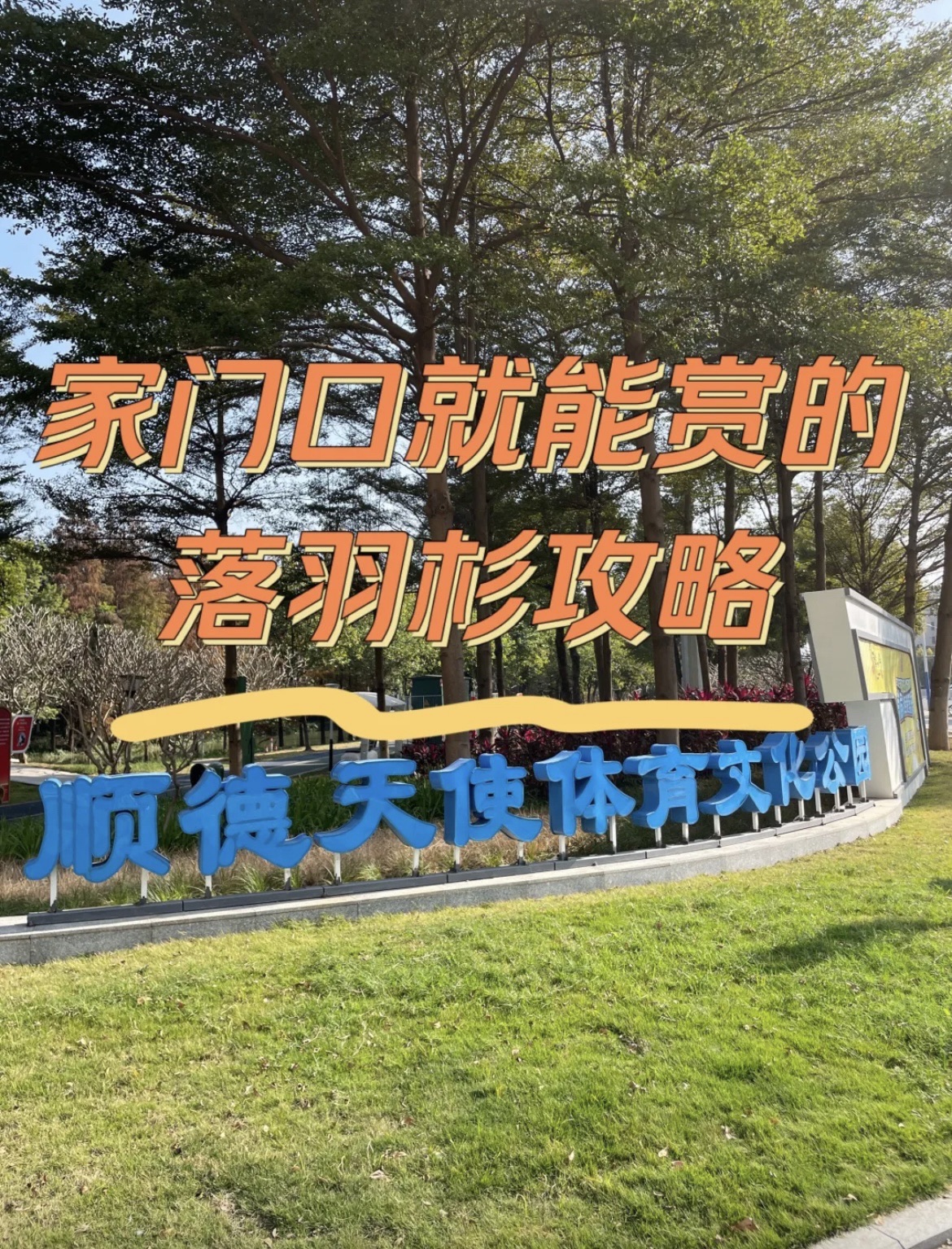 极限公园旅行图片 2