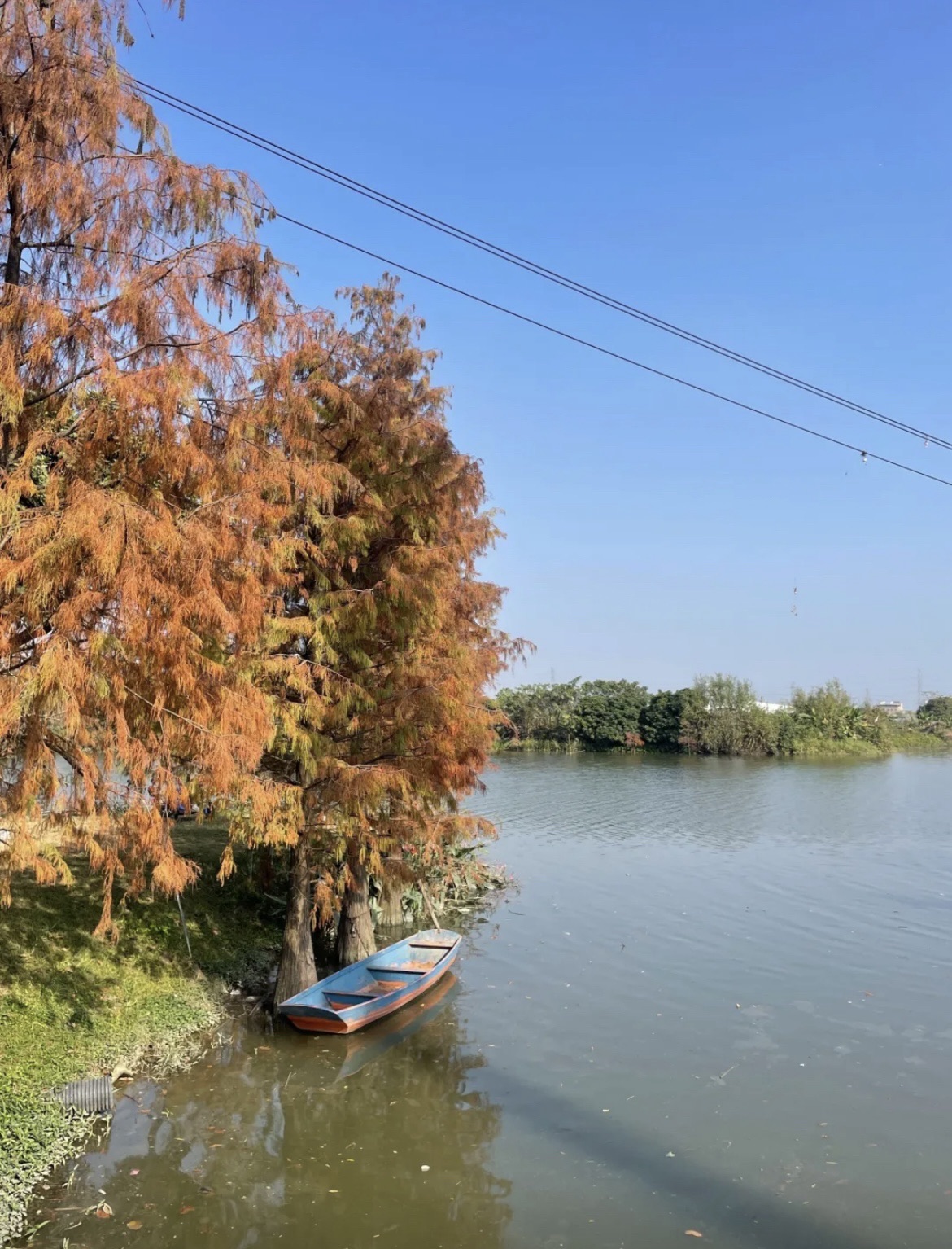 极限公园旅行图片 3