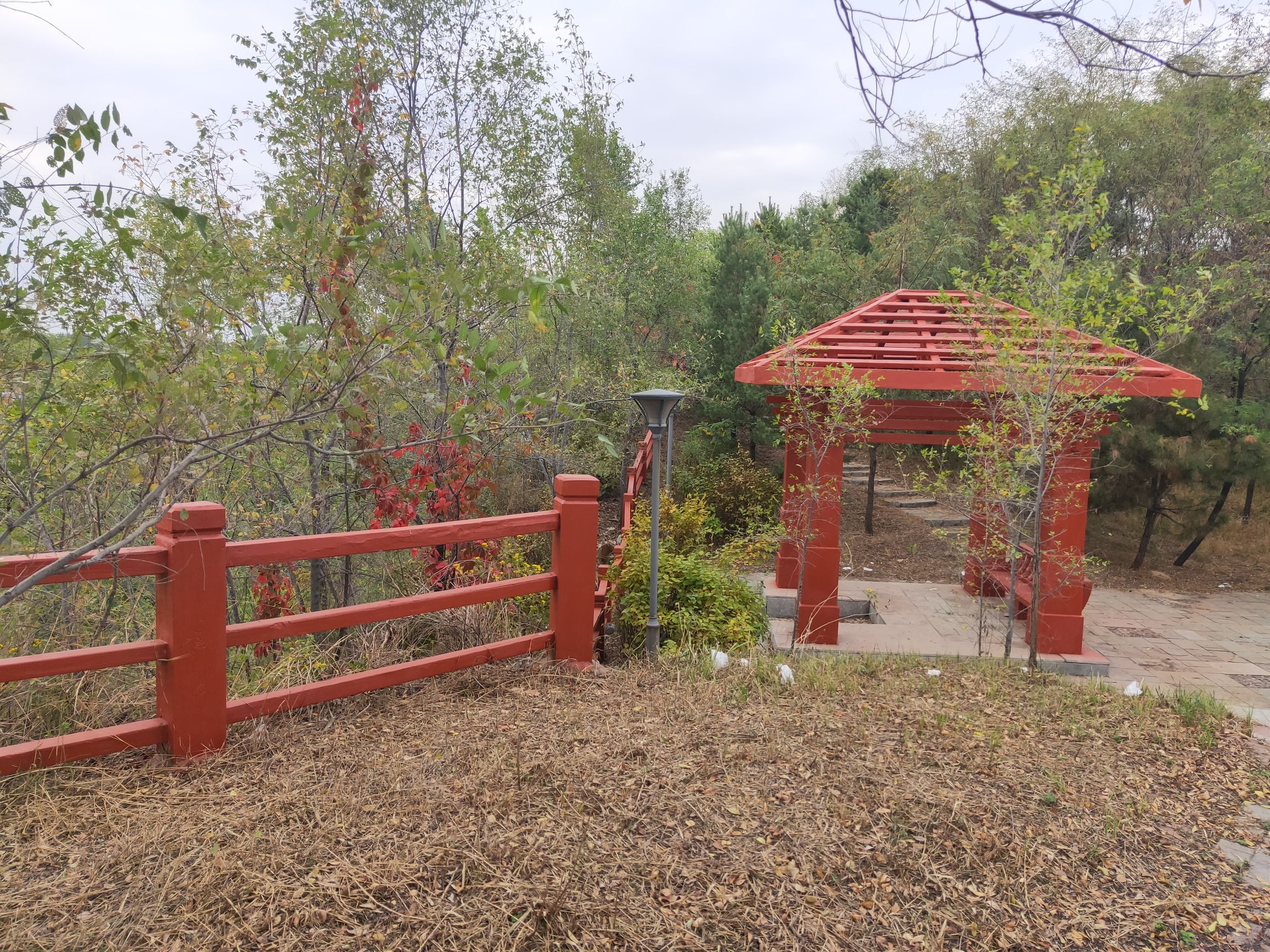 教军山城市公园旅行图片 2