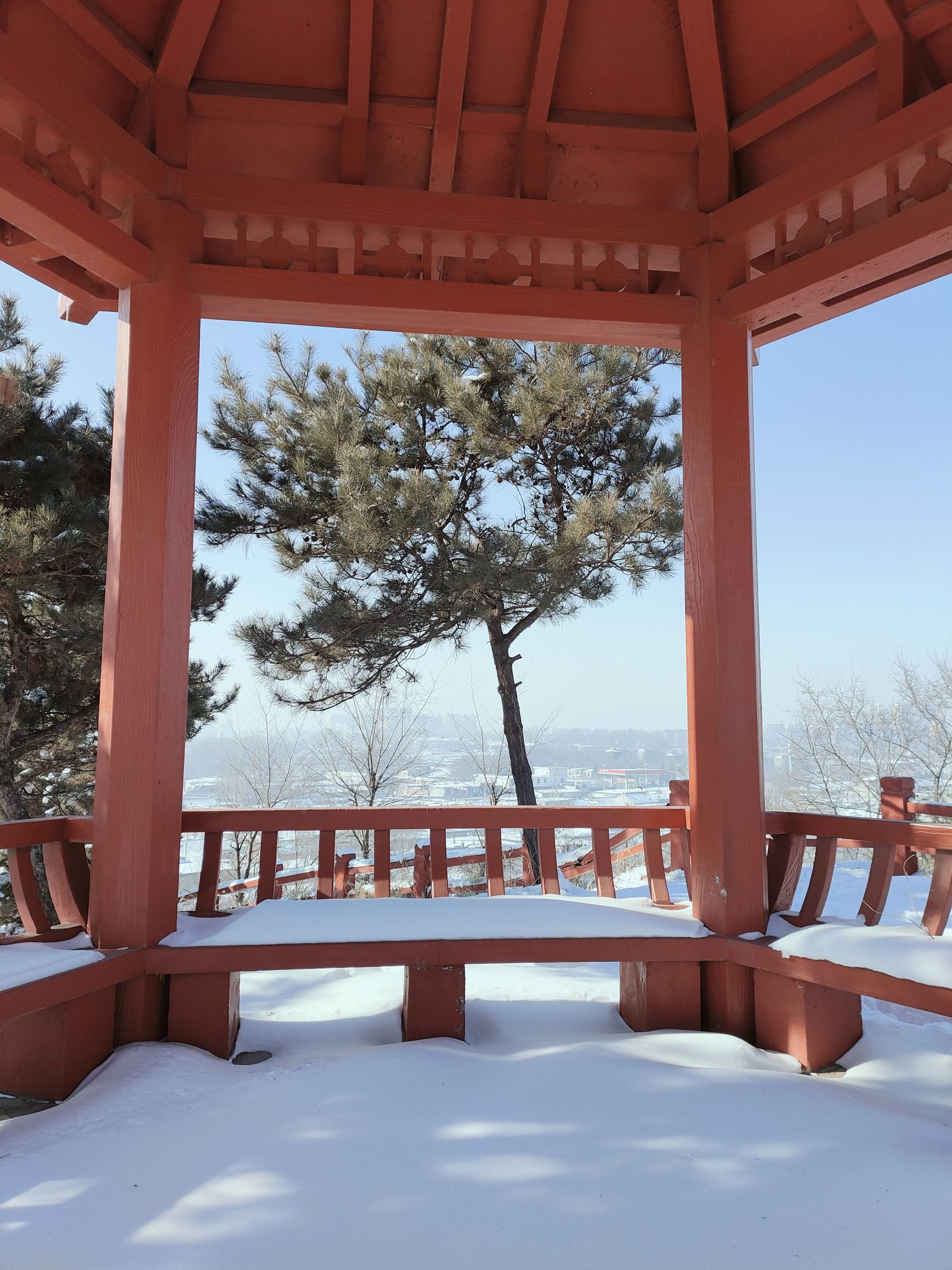 教军山城市公园旅行图片 2