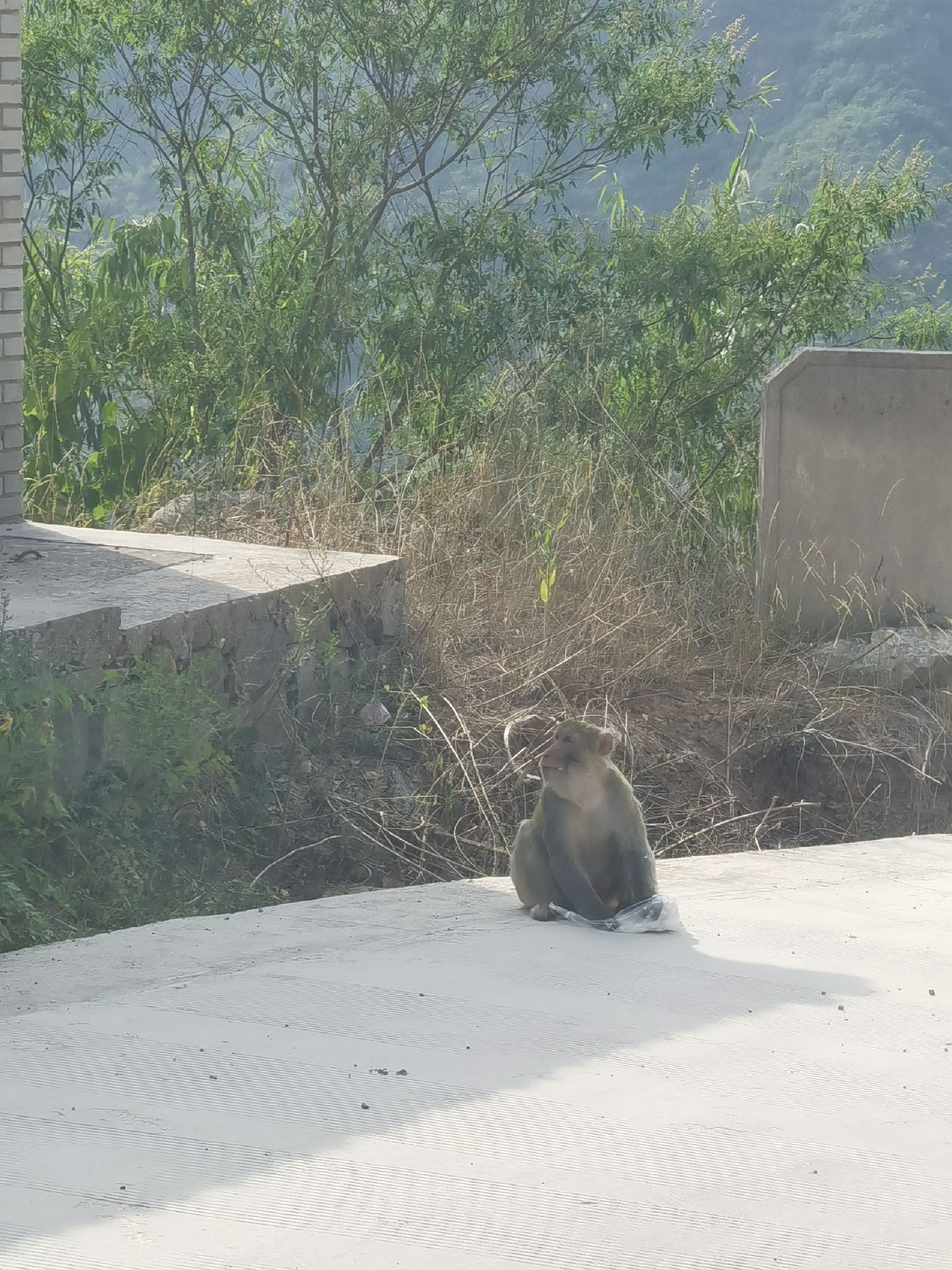 栖龙湾景区旅行图片 1