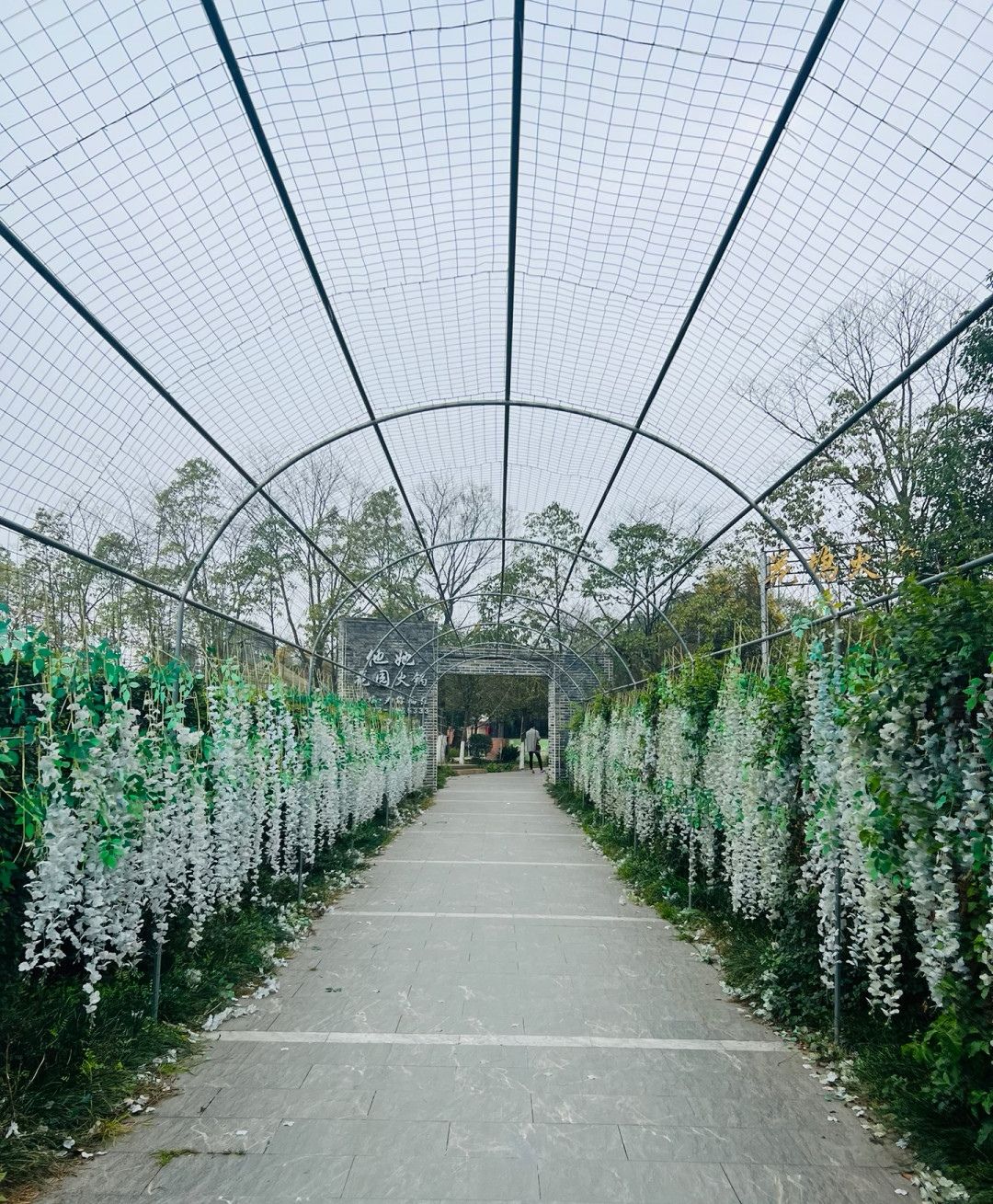 花坞.御景园旅行图片 3