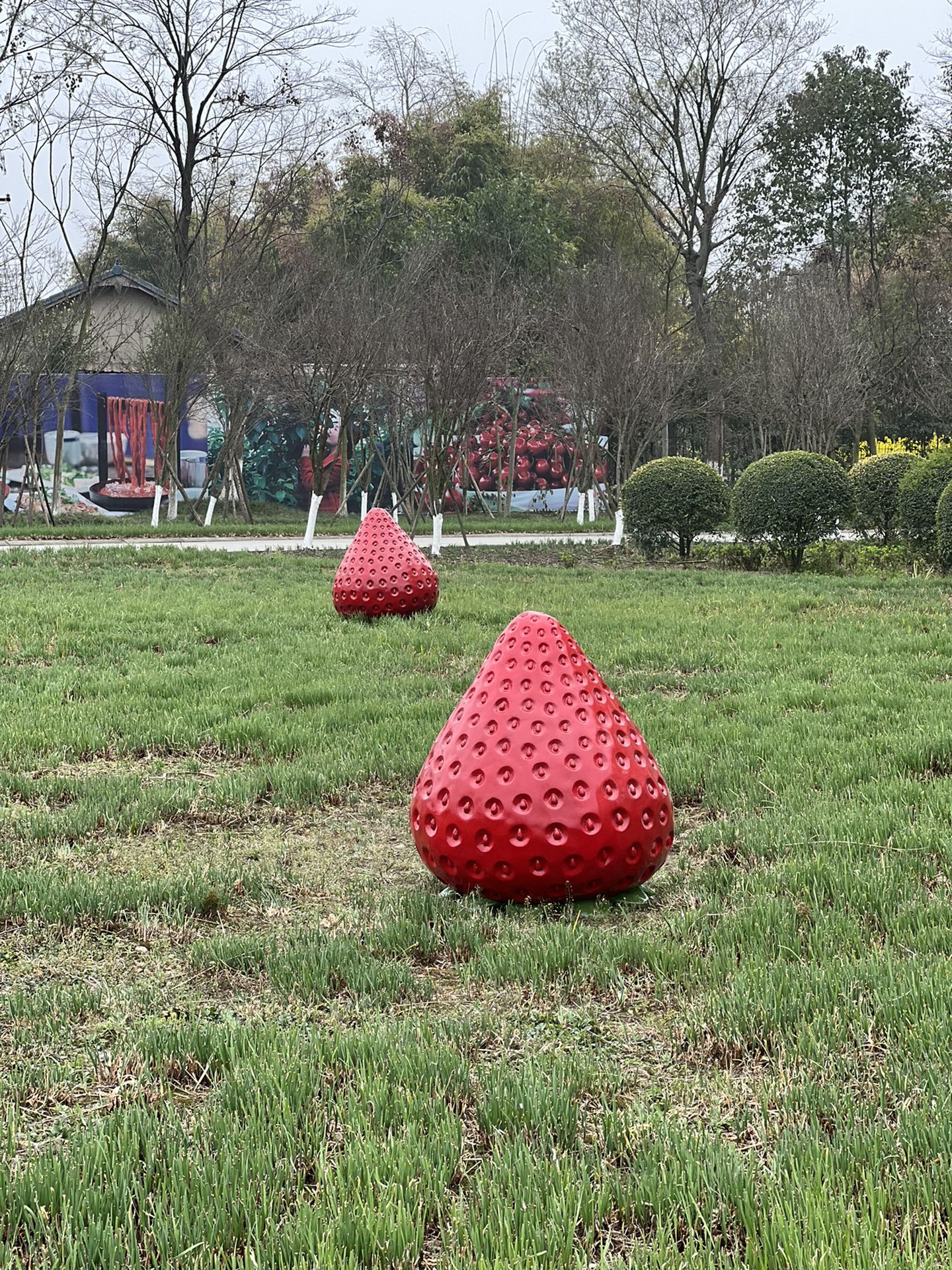 花坞.御景园旅行图片 3