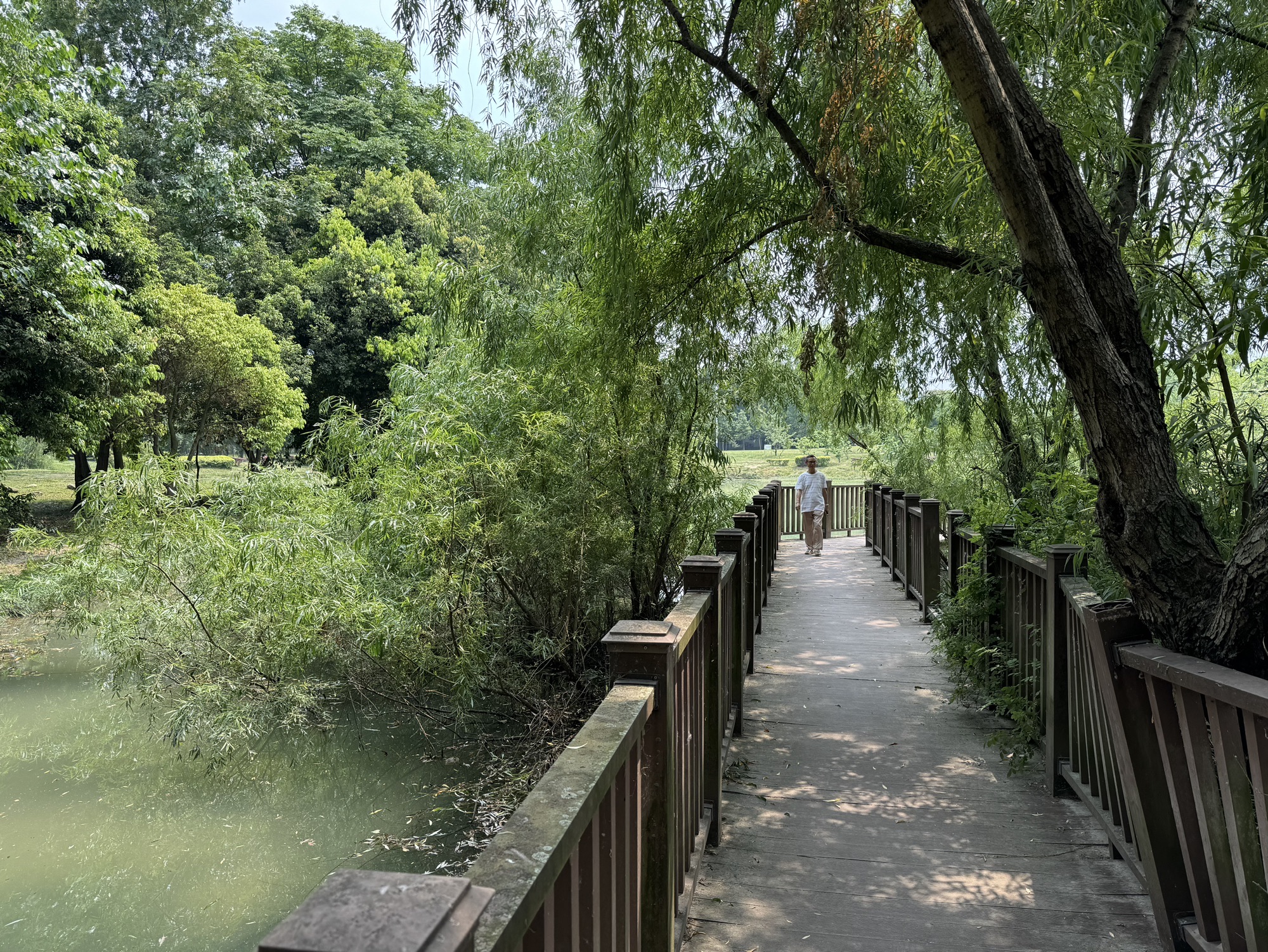 汉旺湿地公园旅行图片 2