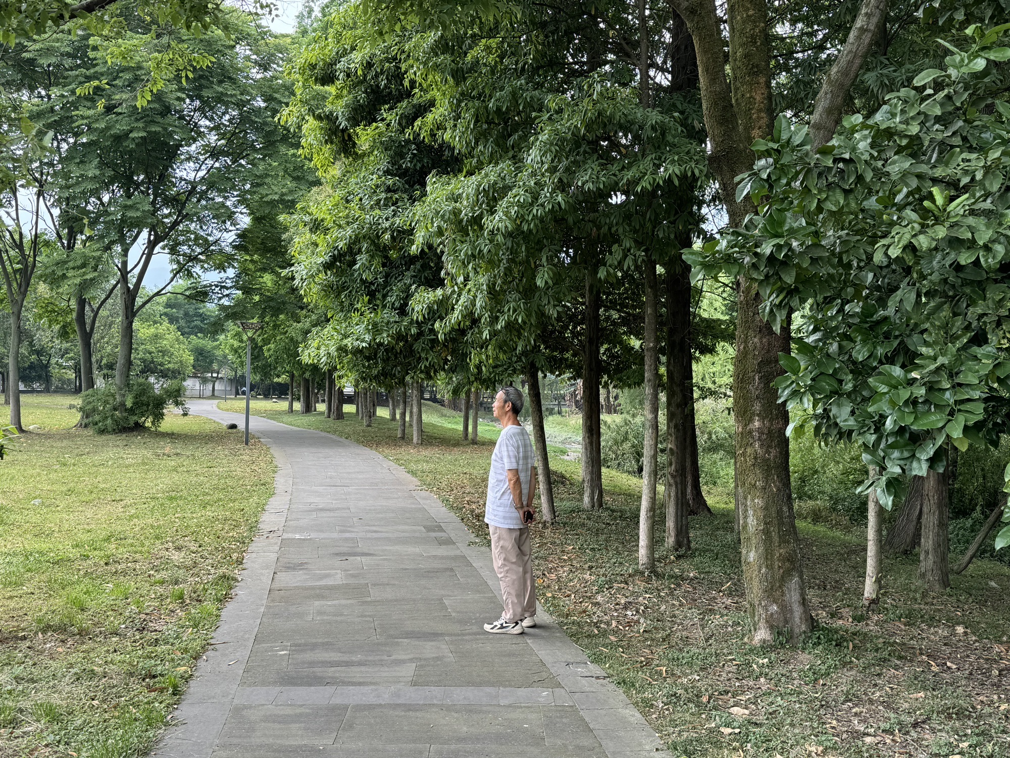 汉旺湿地公园旅行图片 3