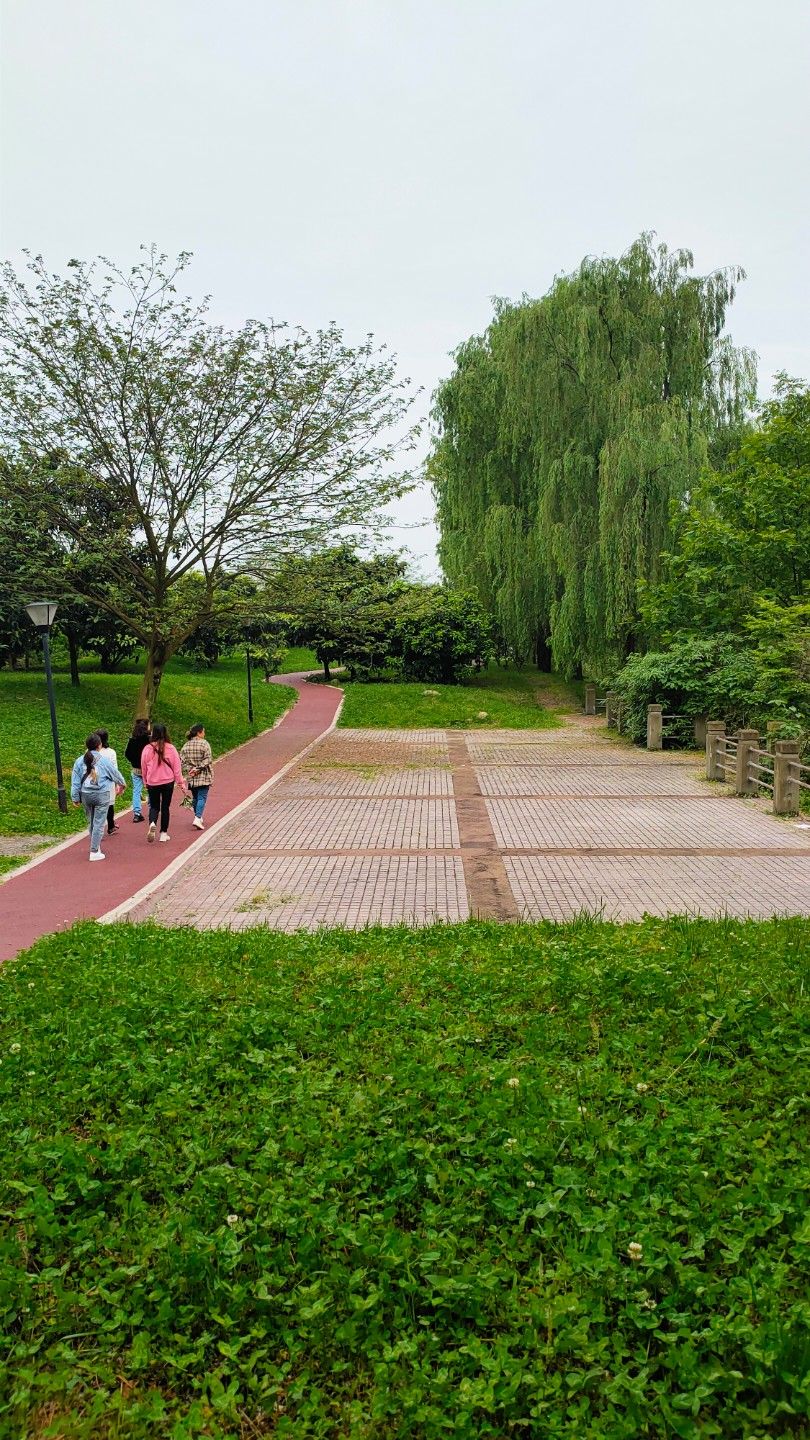 汉旺湿地公园旅行图片 3