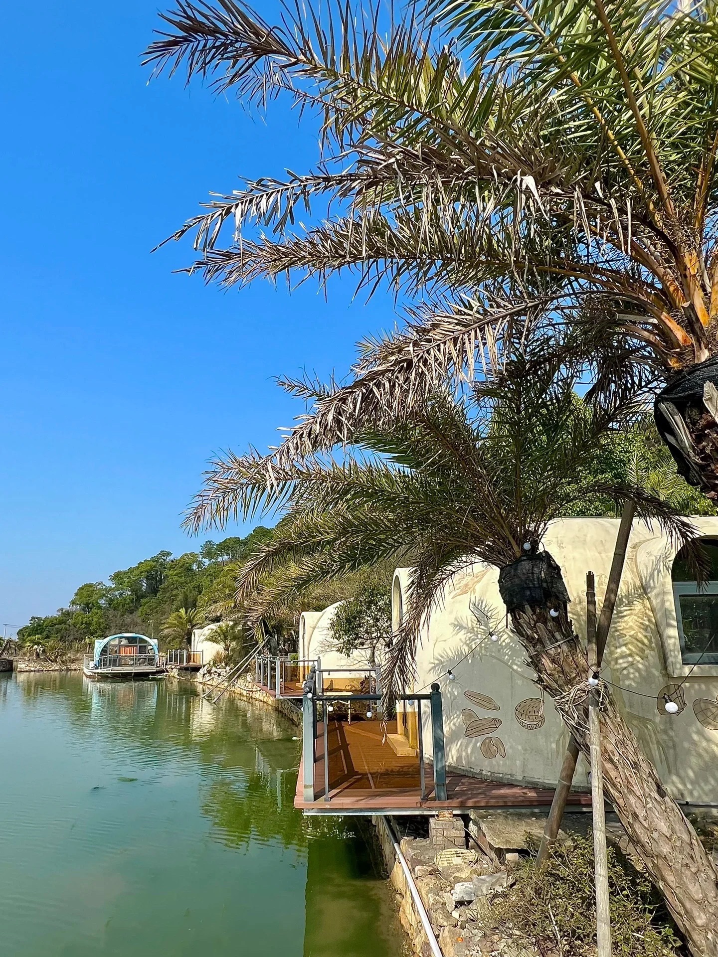 江岩岛旅行图片 3