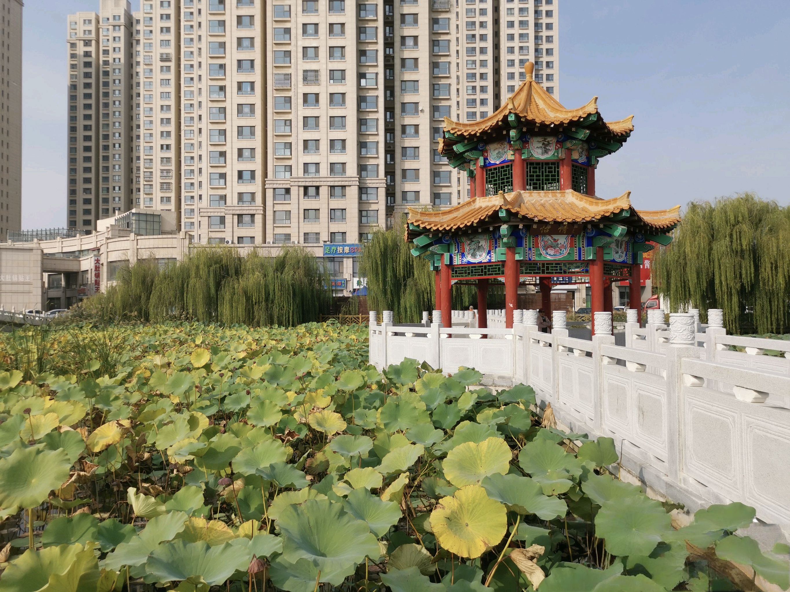 赵丽蓉广场旅行图片 3