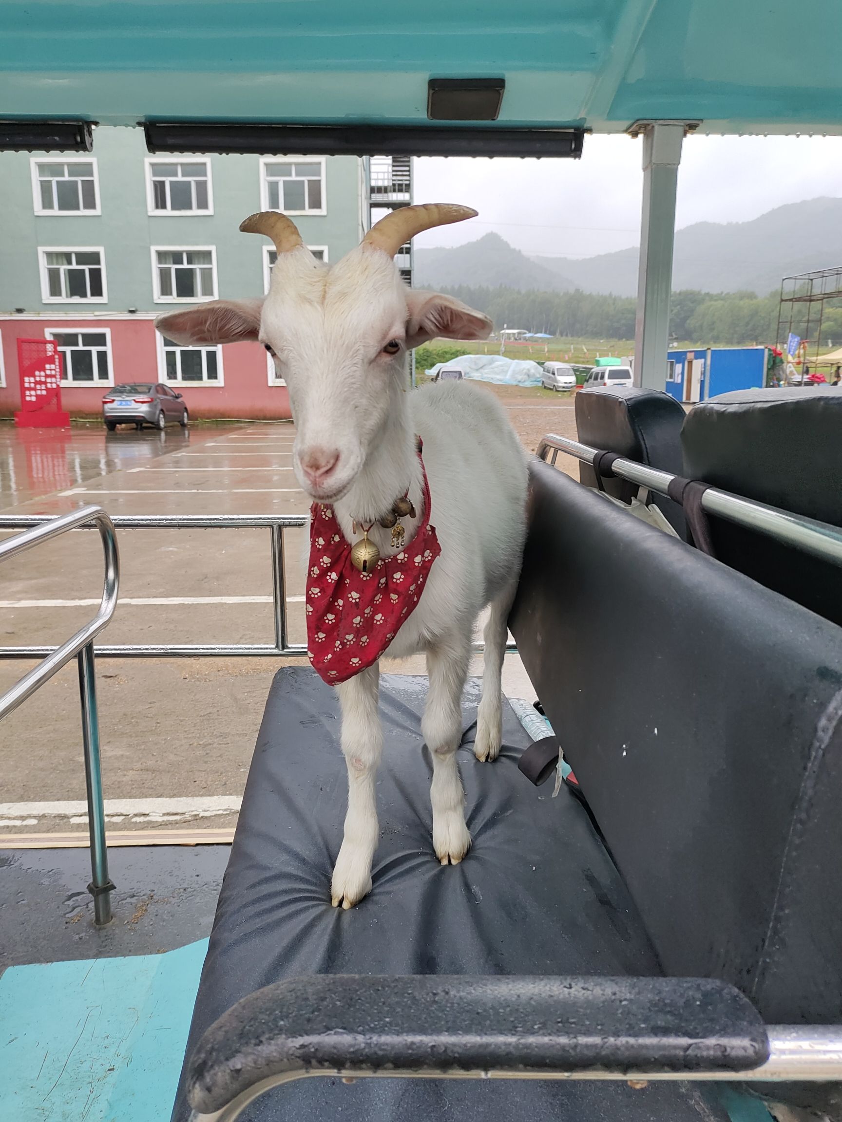 九峰山养心谷旅行图片 2