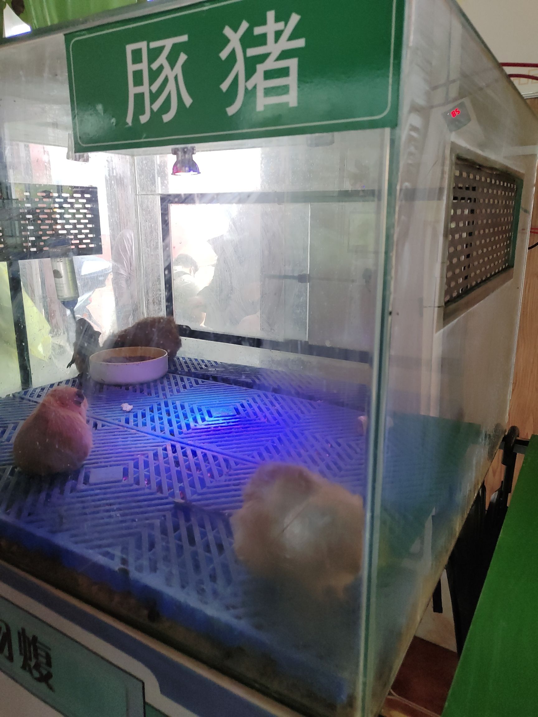 九峰山养心谷旅行图片 3