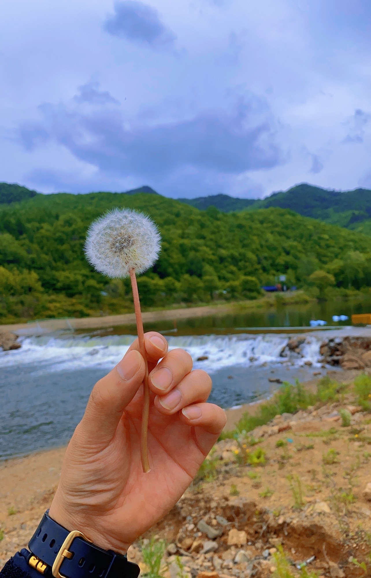 九峰山养心谷旅行图片 2